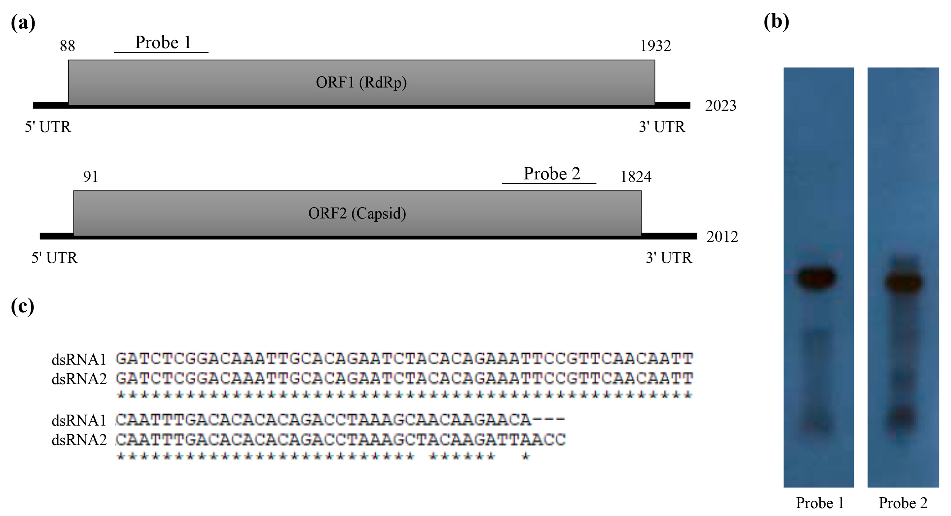 Viruses 10 00578 g002
