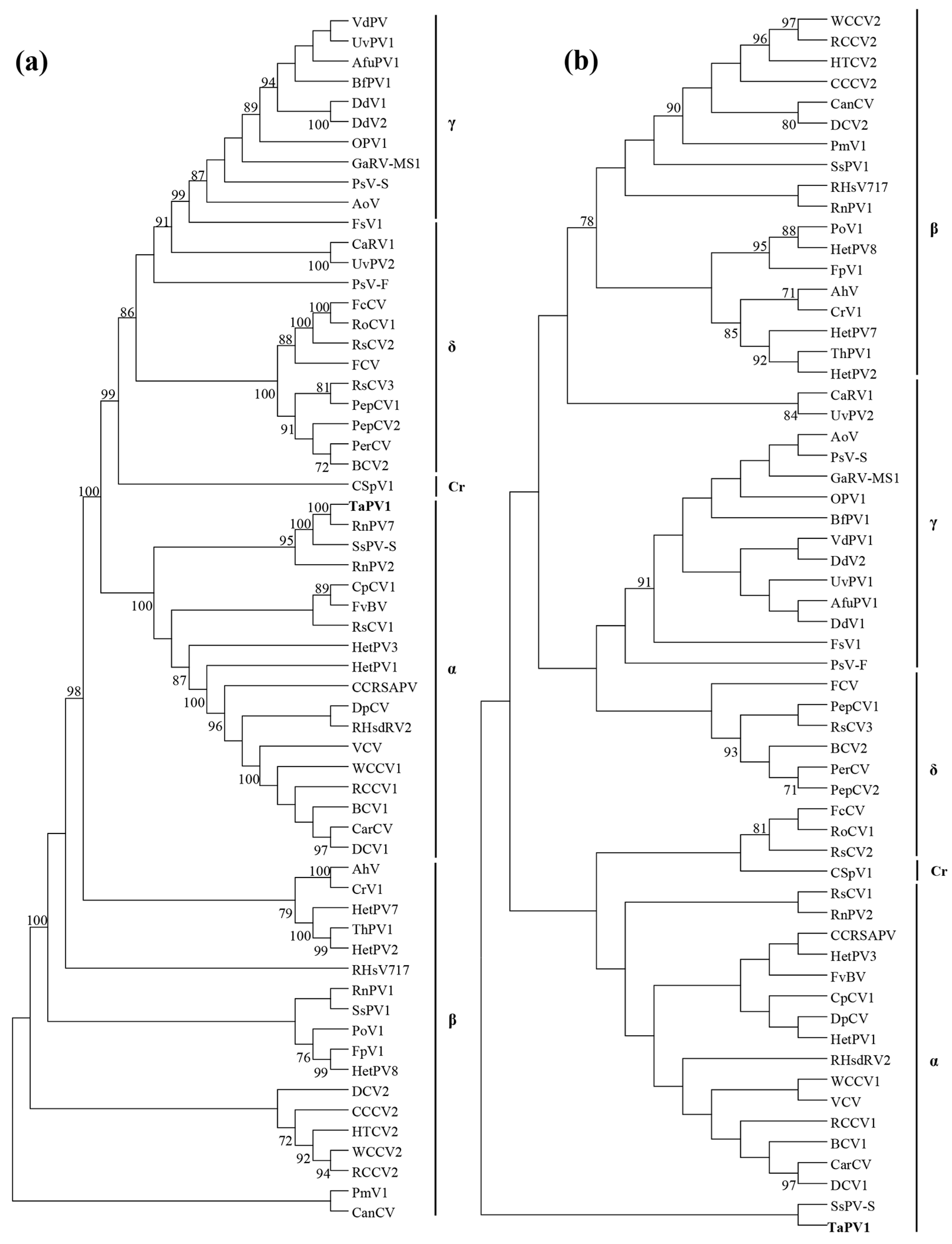 Viruses 10 00578 g003