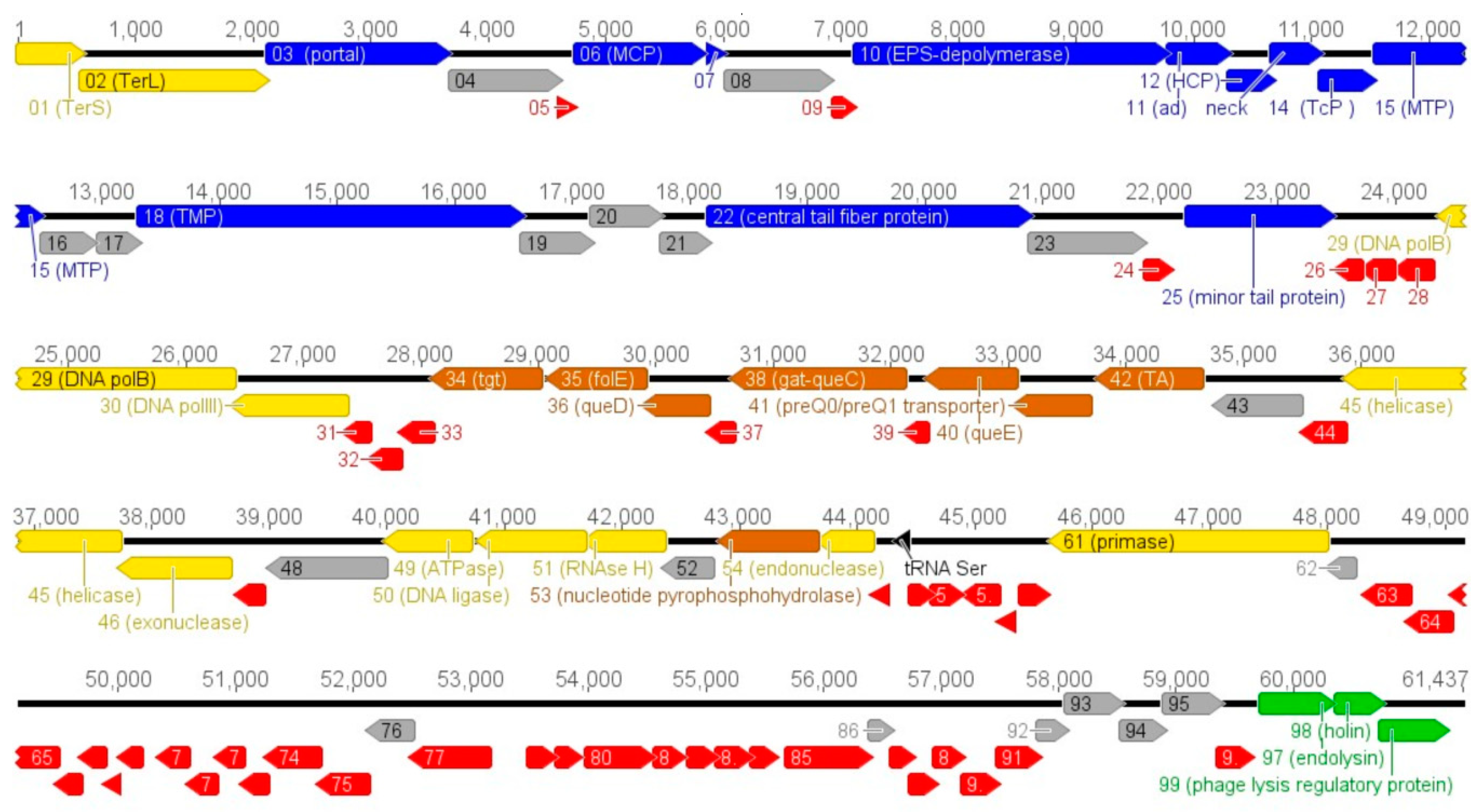 Viruses 10 00583 g002 Viruses 10 00583 g002