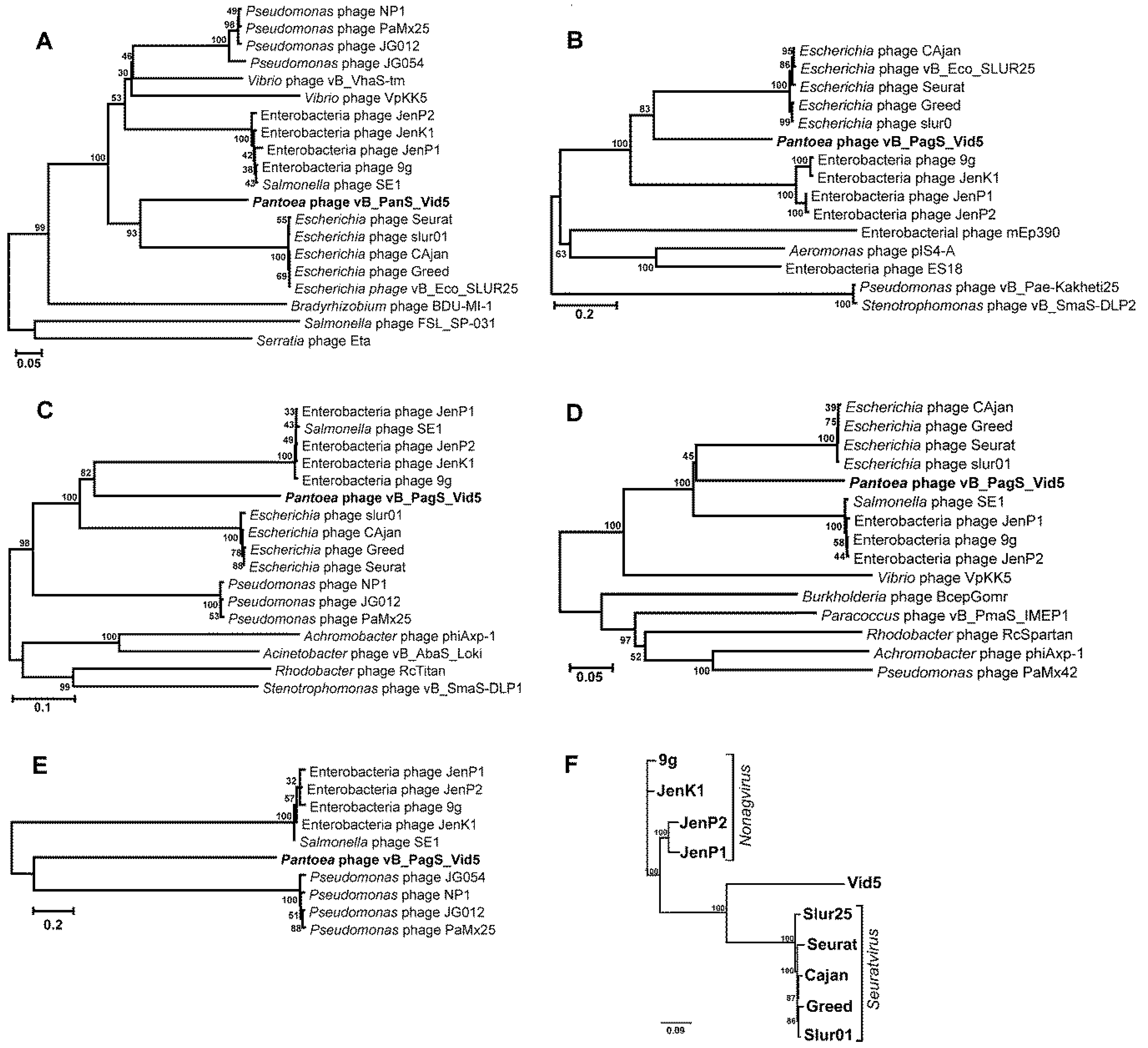 Viruses 10 00583 g003 Viruses 10 00583 g003