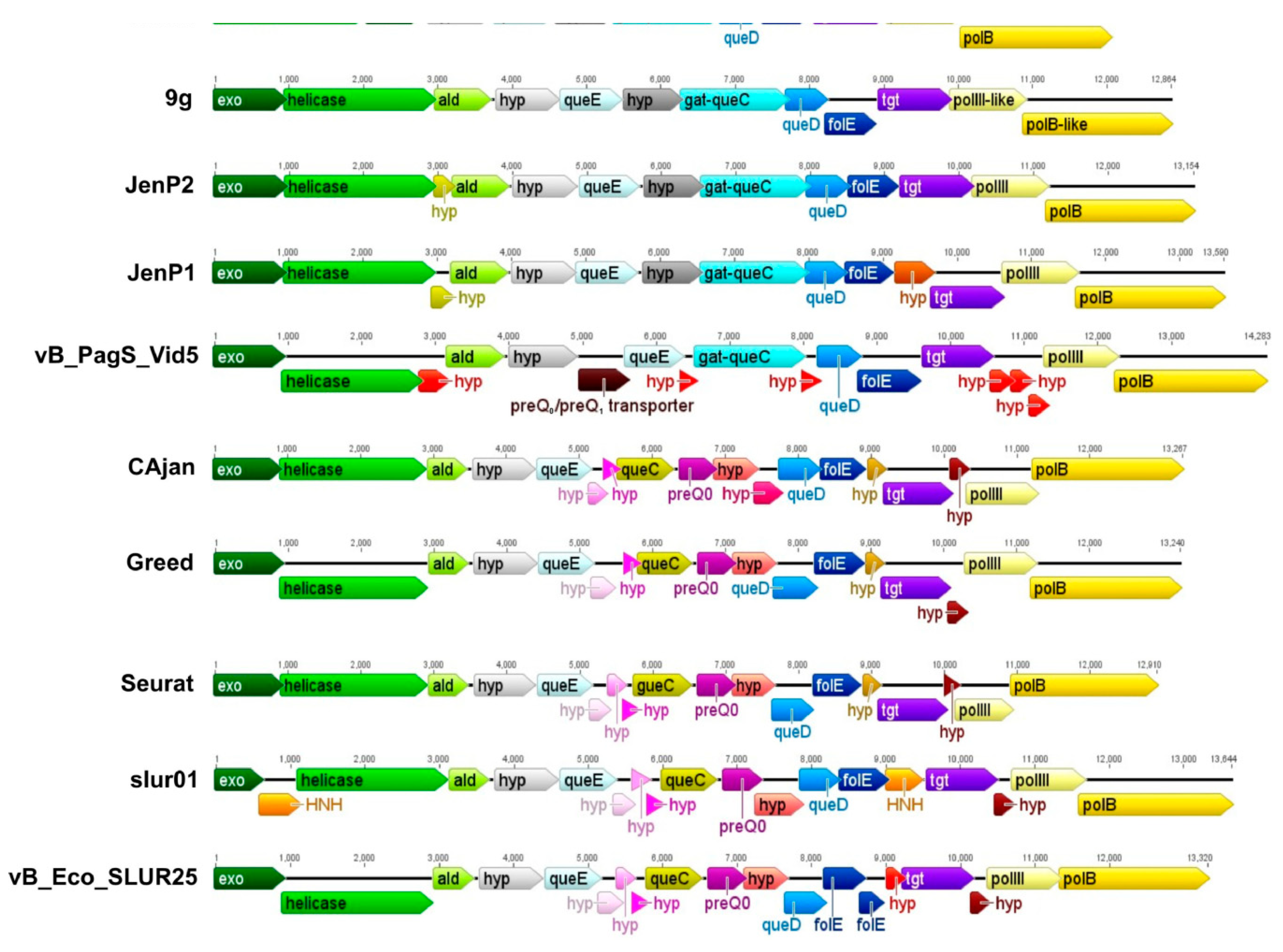 Viruses 10 00583 g004 Viruses 10 00583 g004