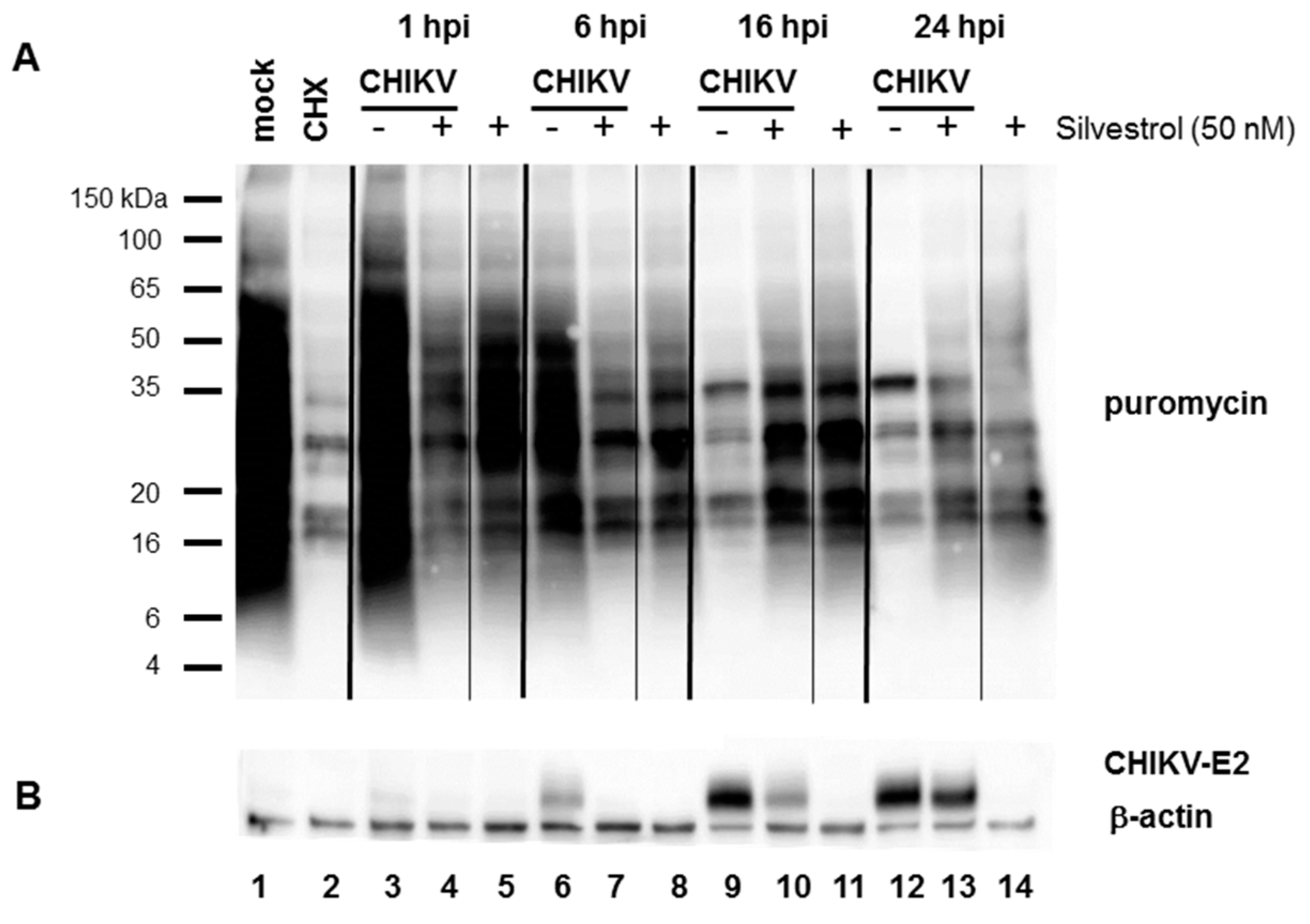Viruses 10 00592 g004 Viruses 10 00592 g004