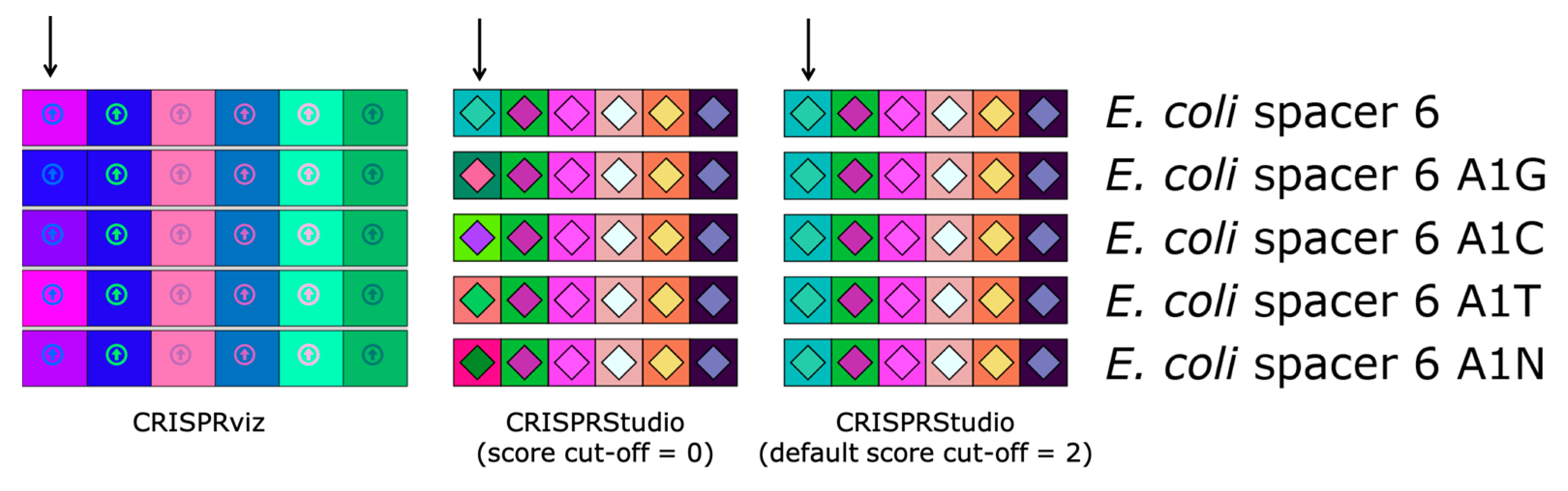Viruses 10 00602 g002