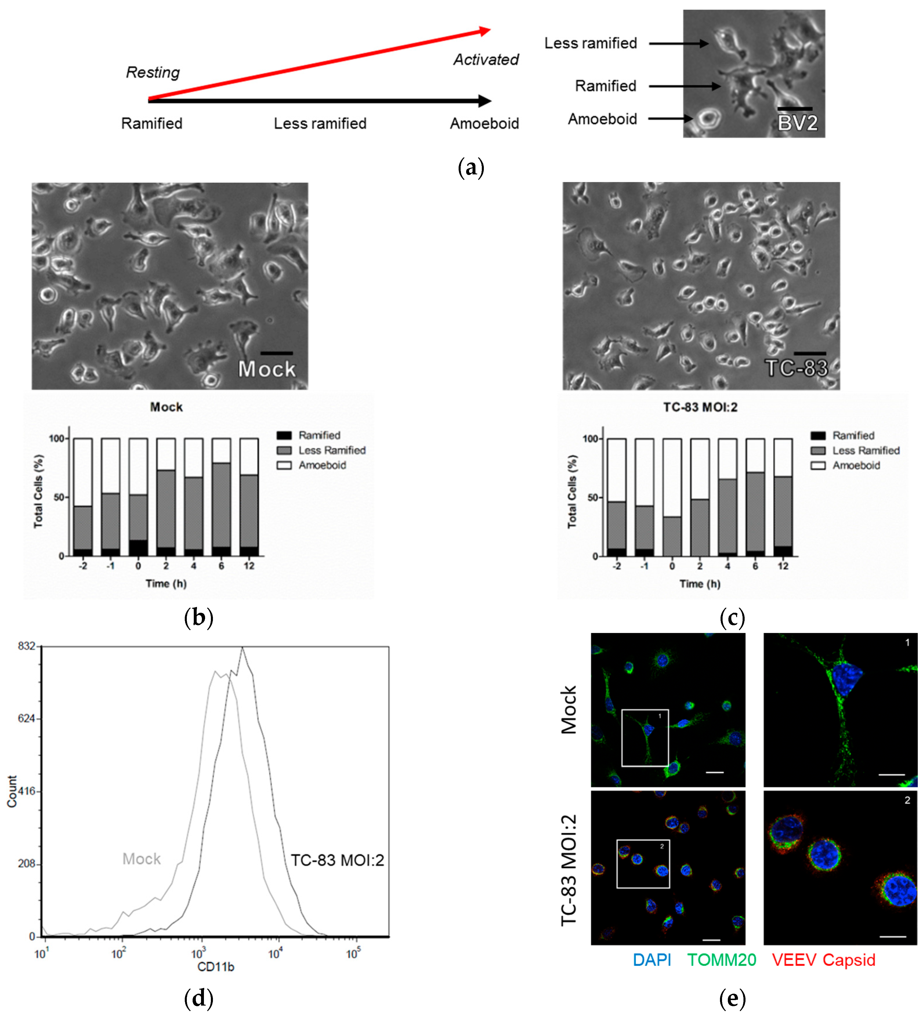 Viruses 10 00606 g003