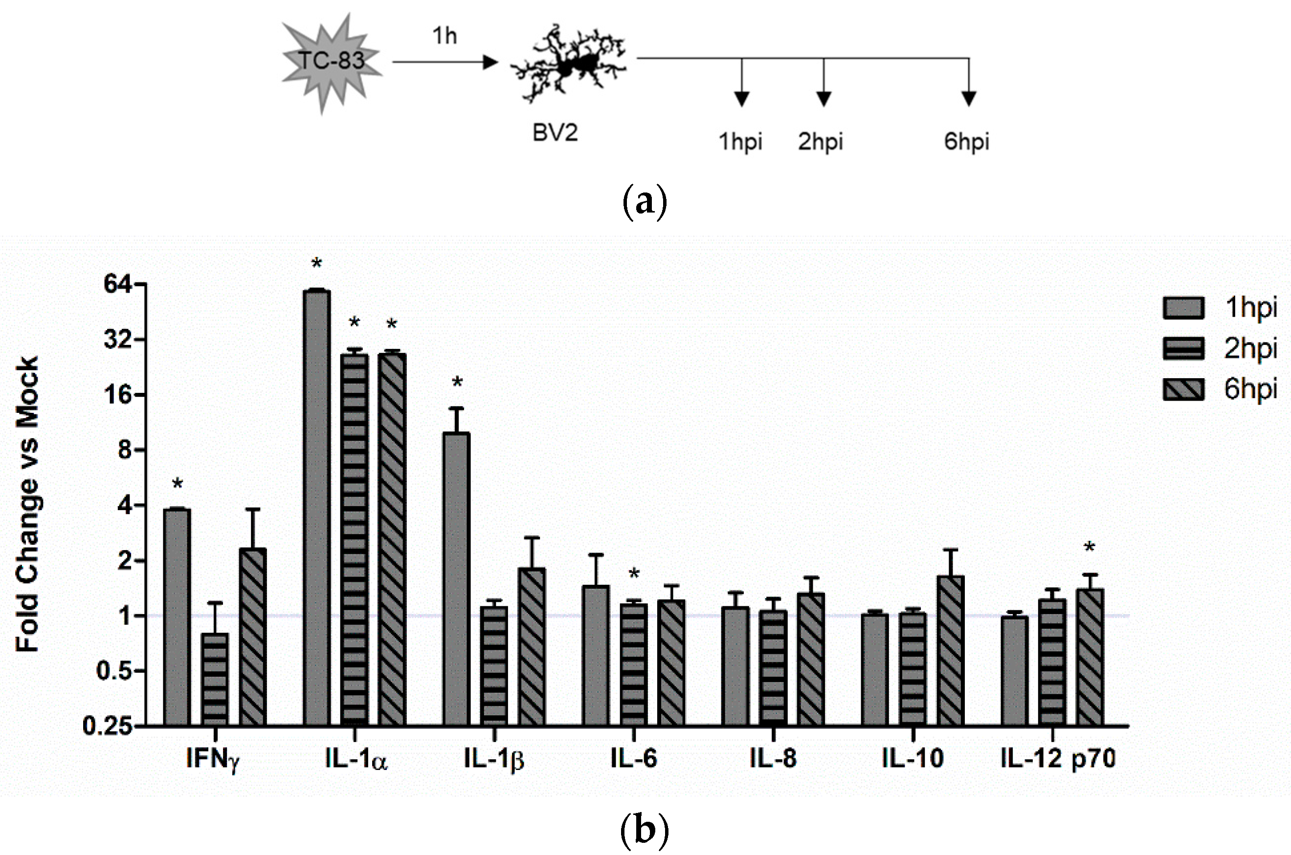 Viruses 10 00606 g004