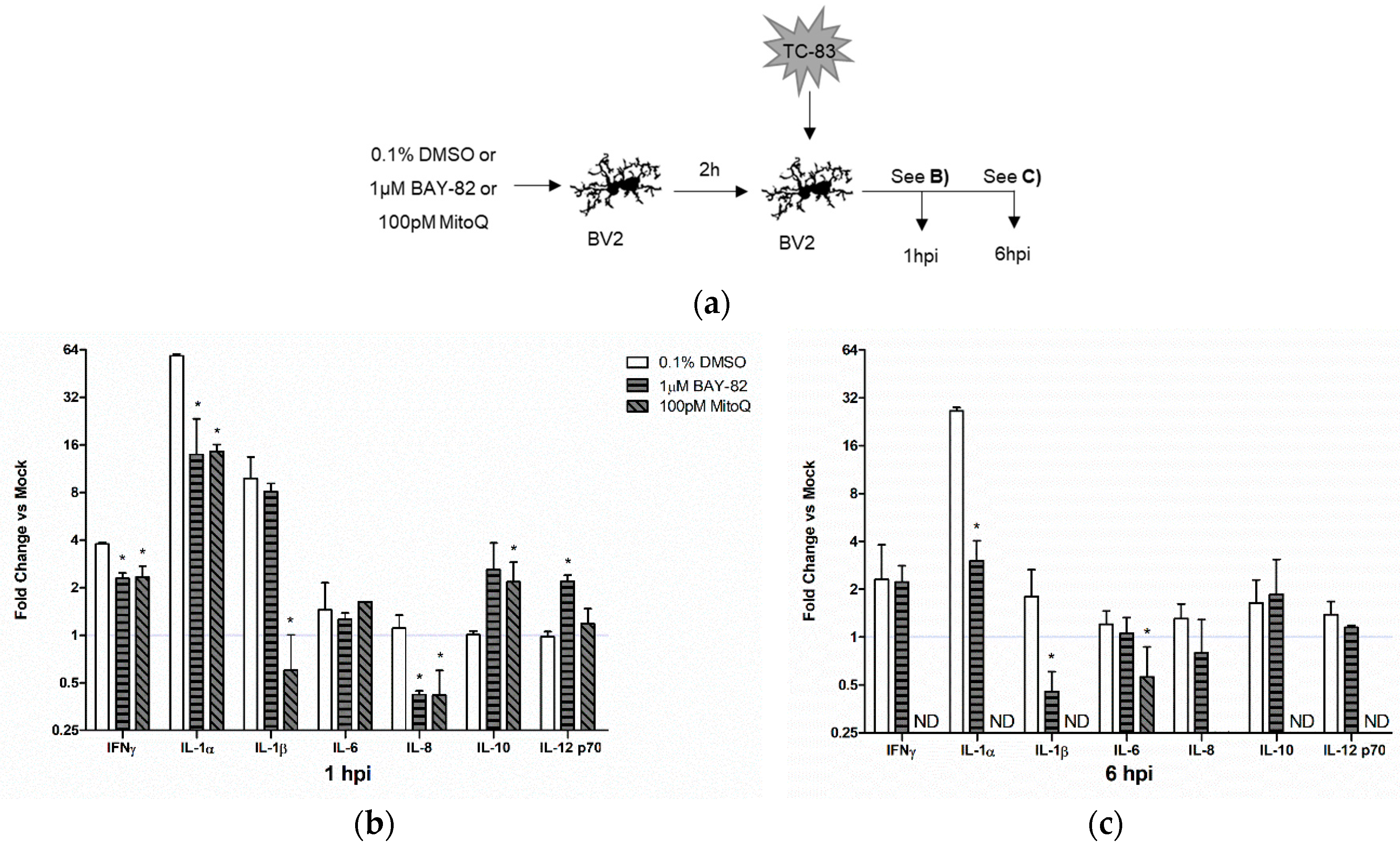 Viruses 10 00606 g007