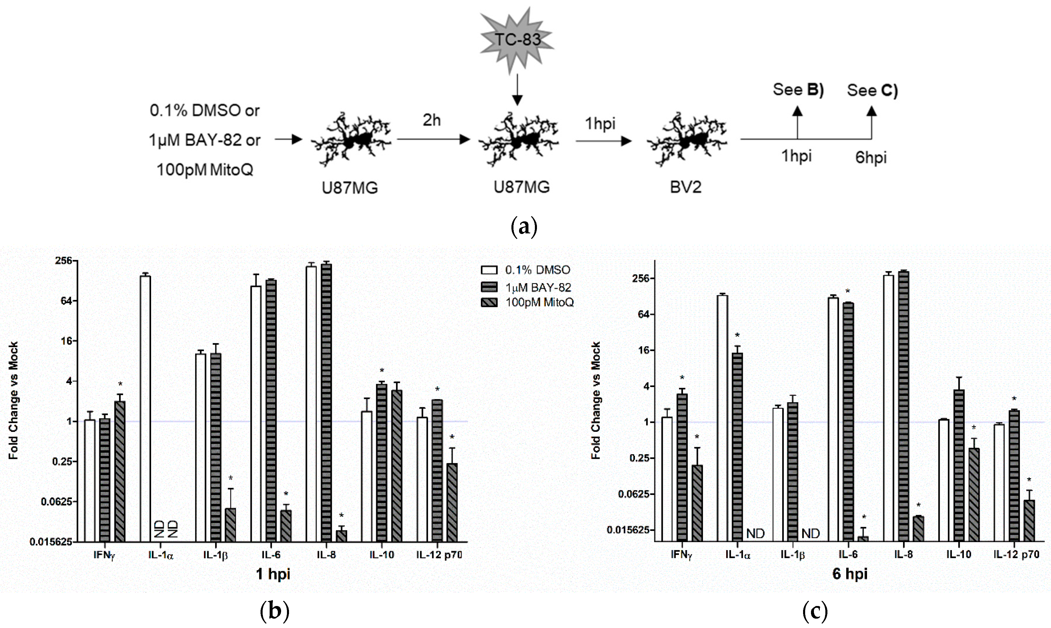 Viruses 10 00606 g008