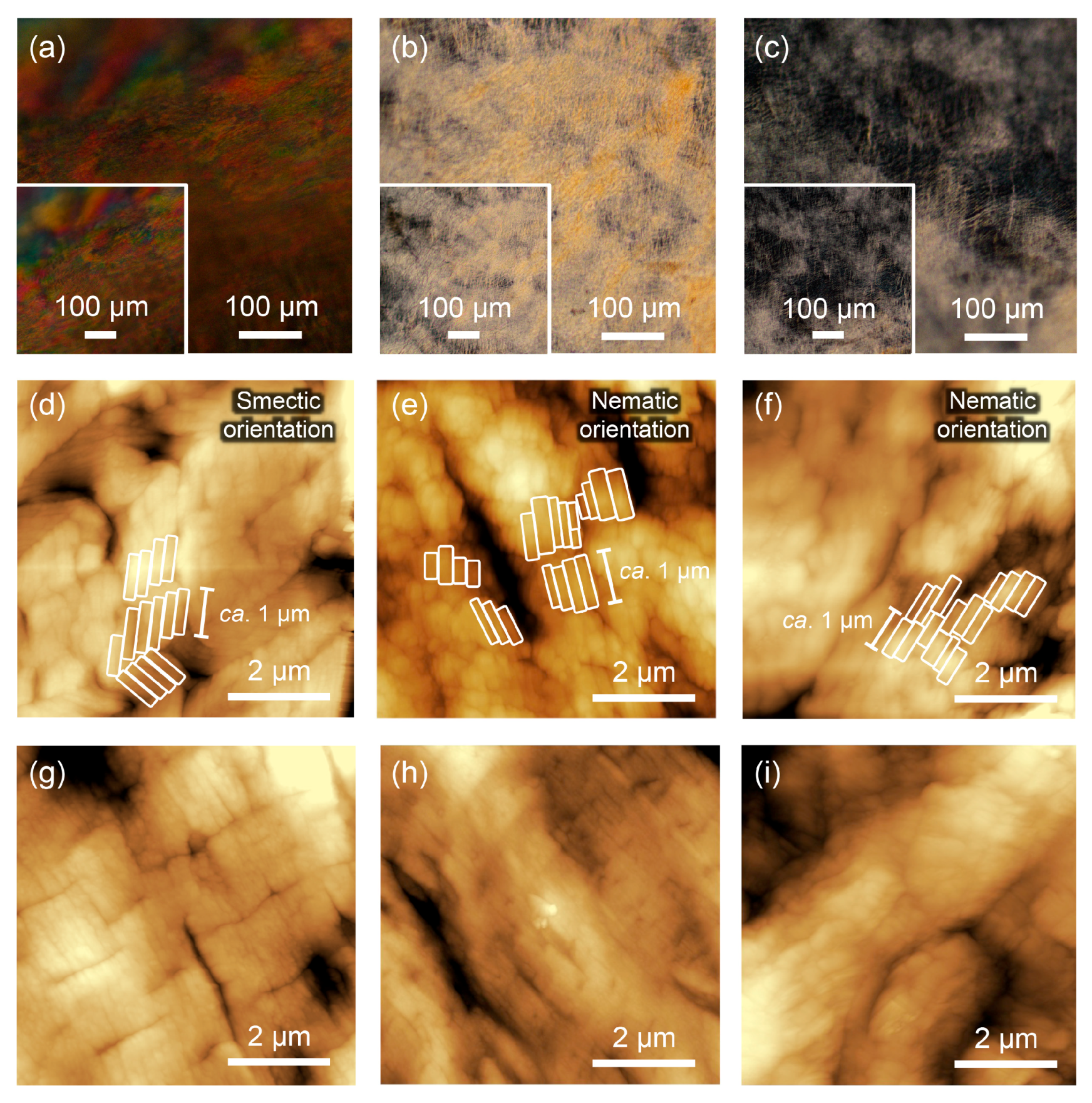 Viruses 10 00608 g003