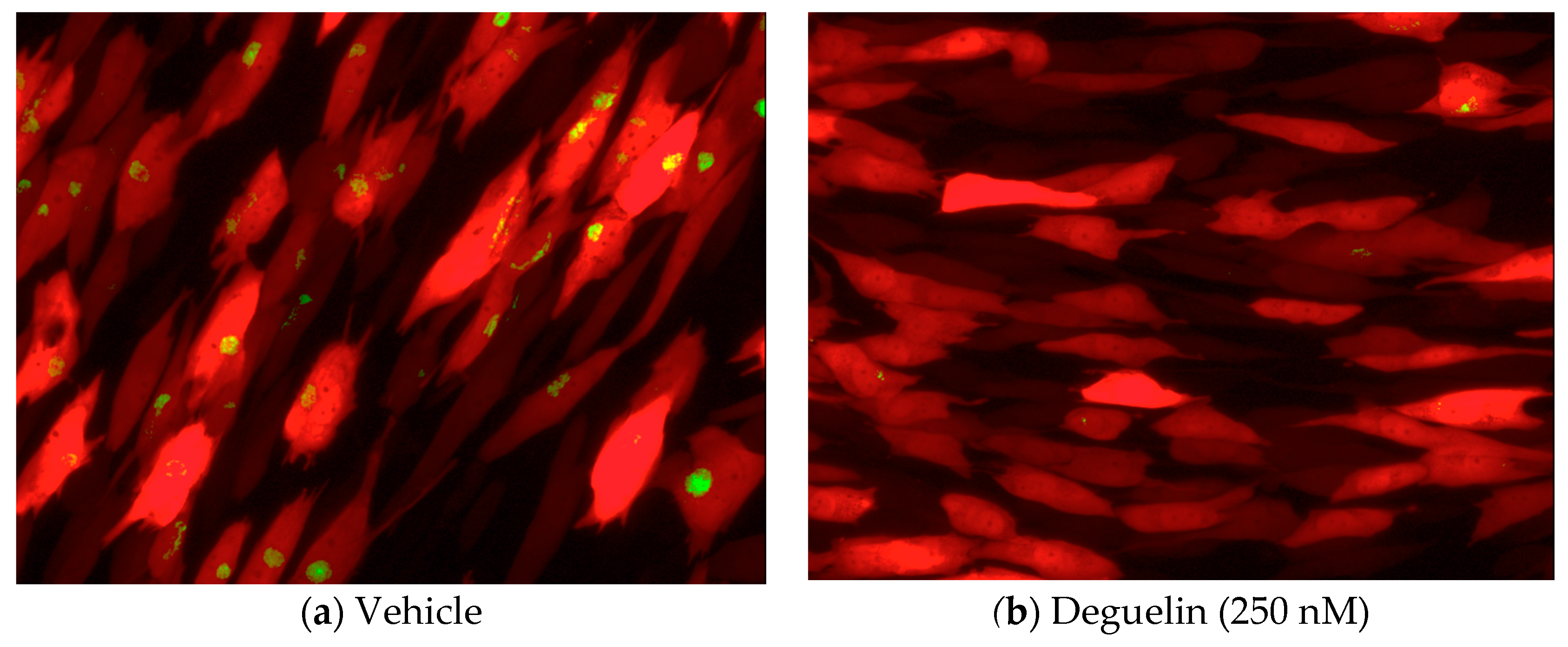 Viruses 10 00614 g001