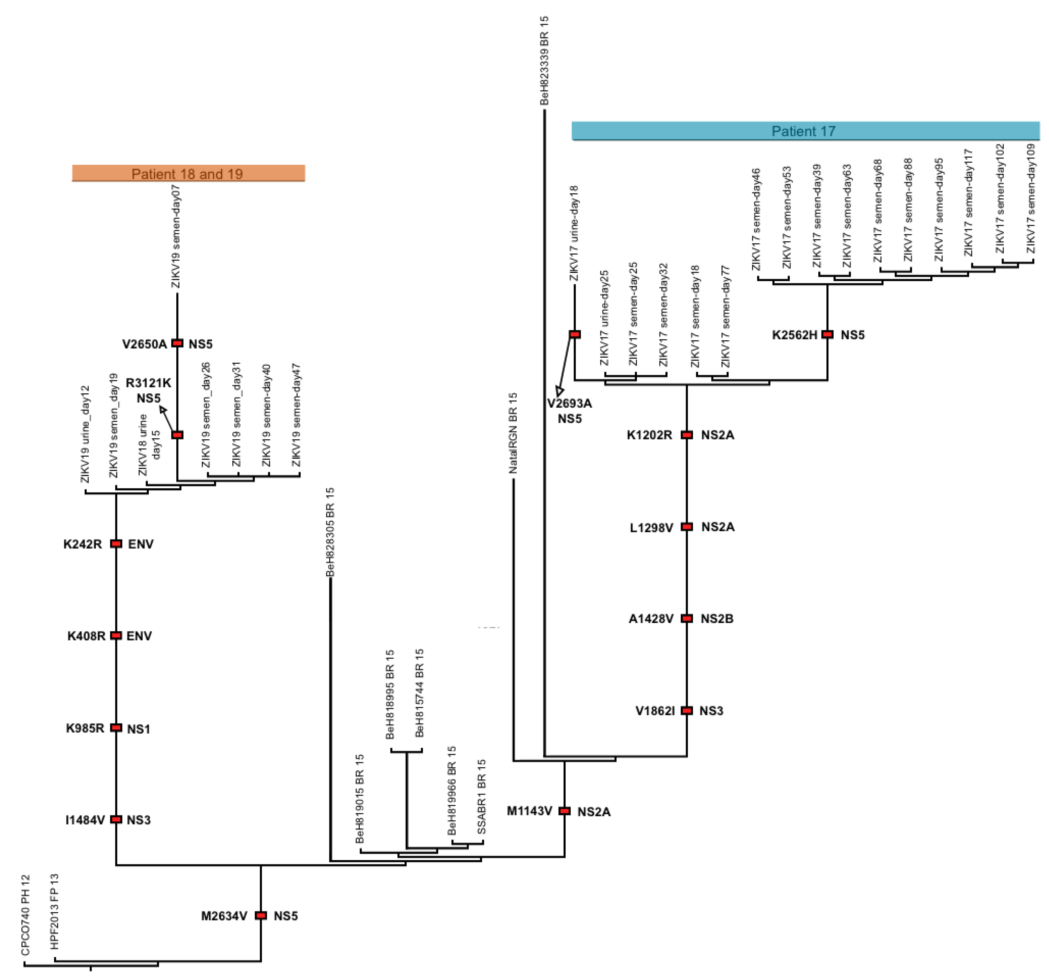 Viruses 10 00615 g006
