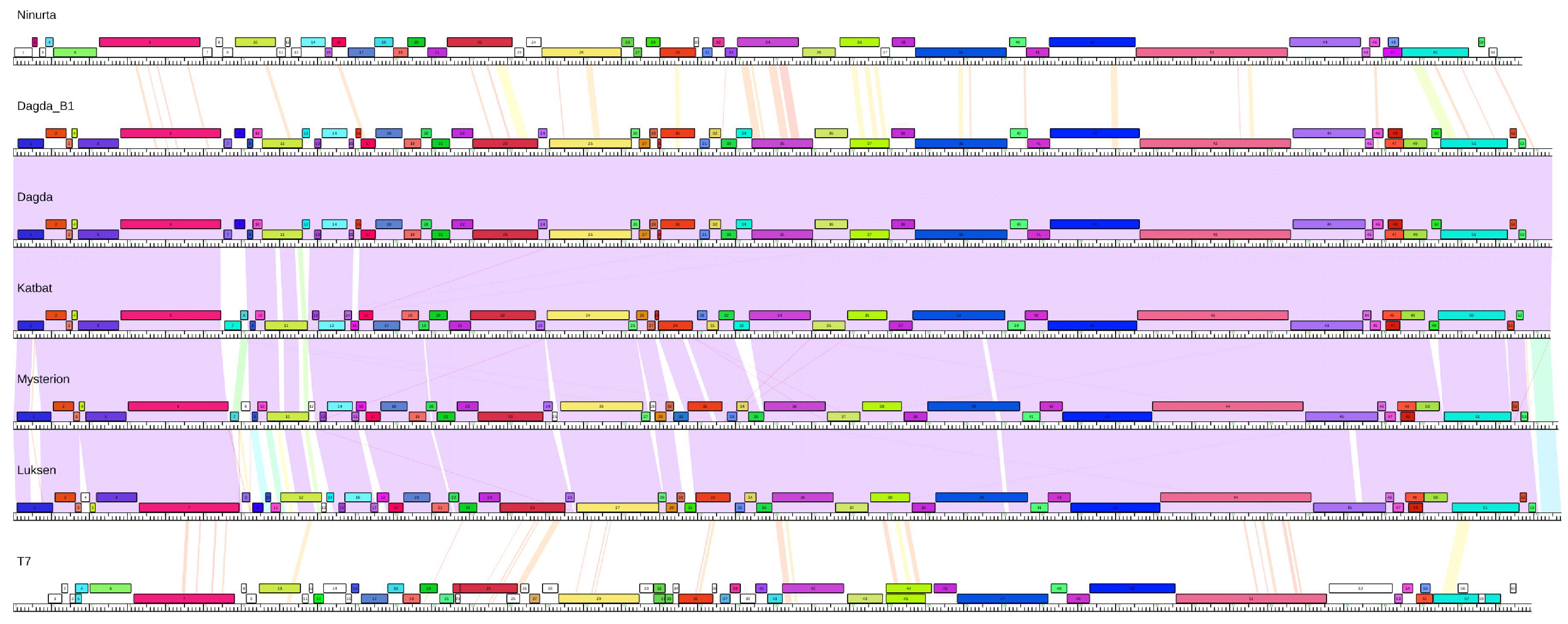 Viruses 10 00621 g002 Viruses 10 00621 g002