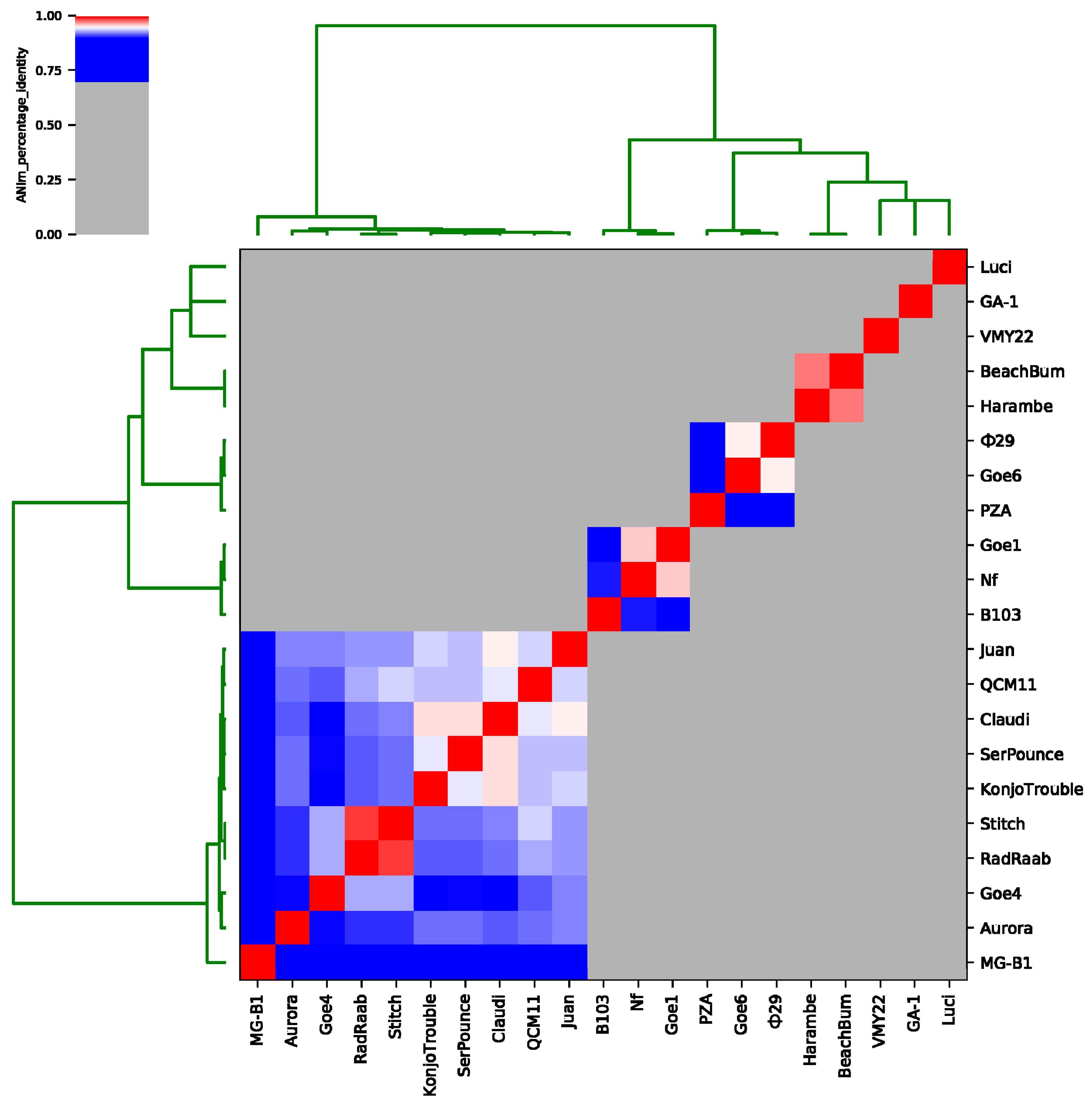 Viruses 10 00624 g003 Viruses 10 00624 g003