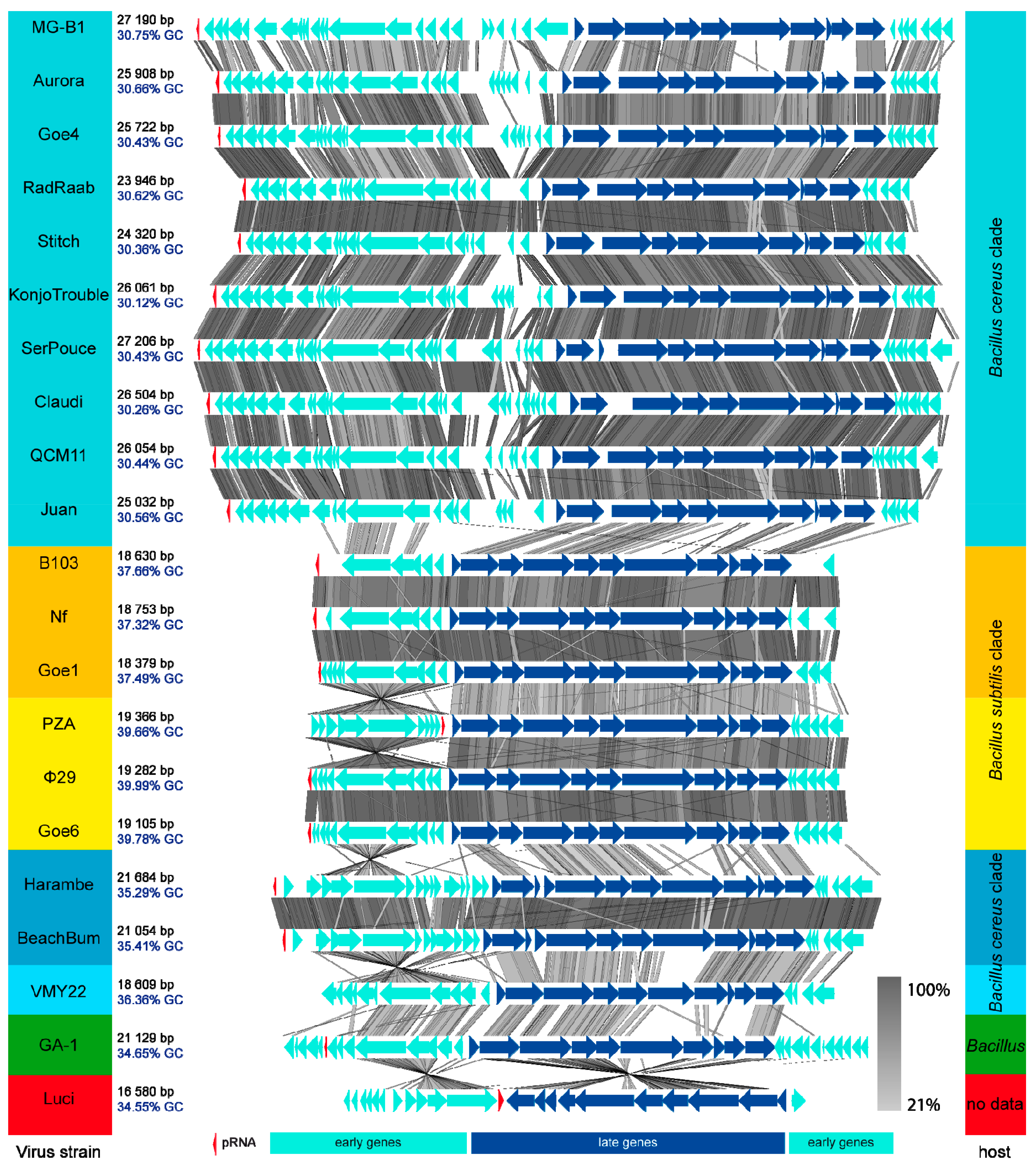 Viruses 10 00624 g004 Viruses 10 00624 g004