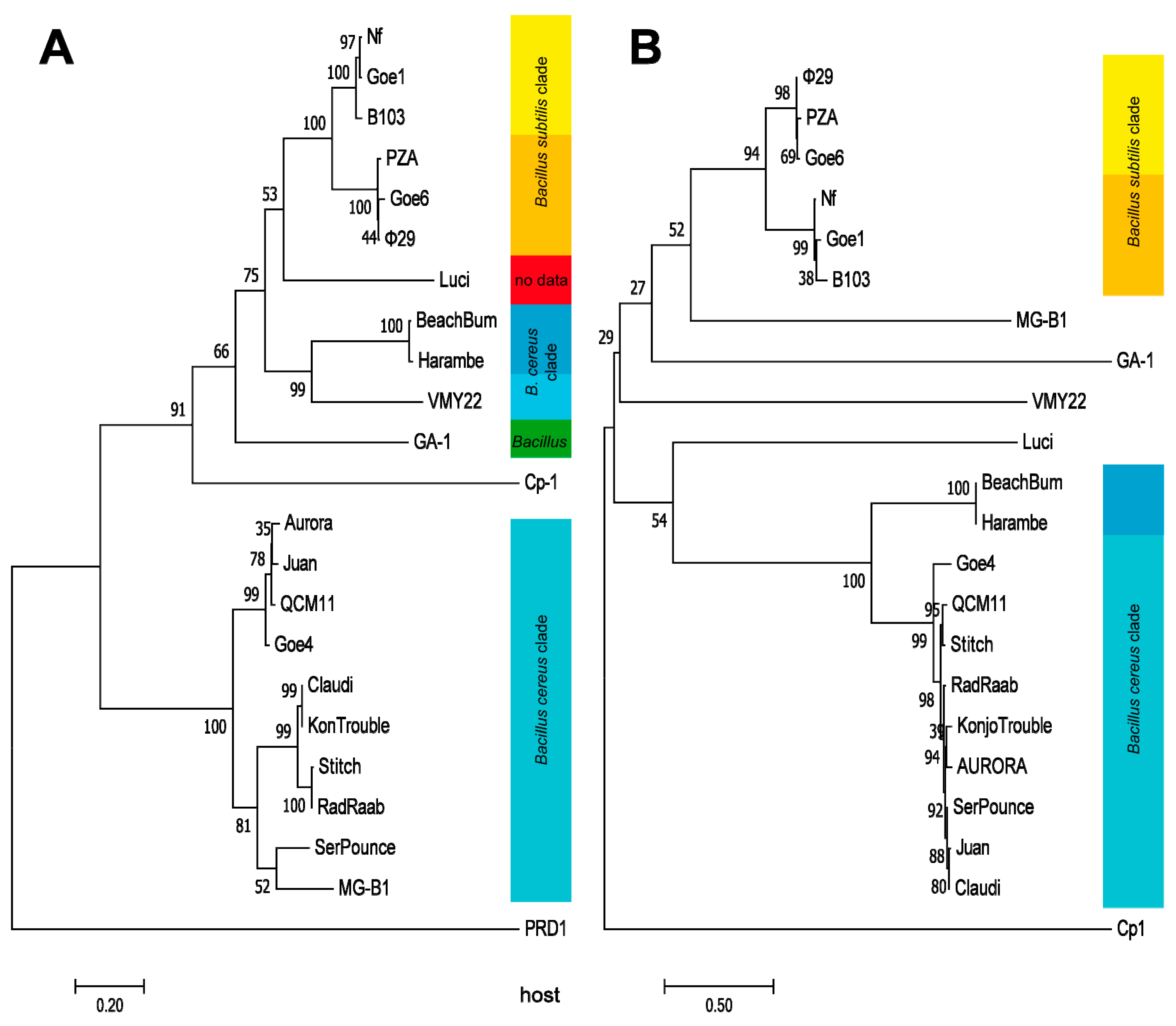 Viruses 10 00624 g005 Viruses 10 00624 g005