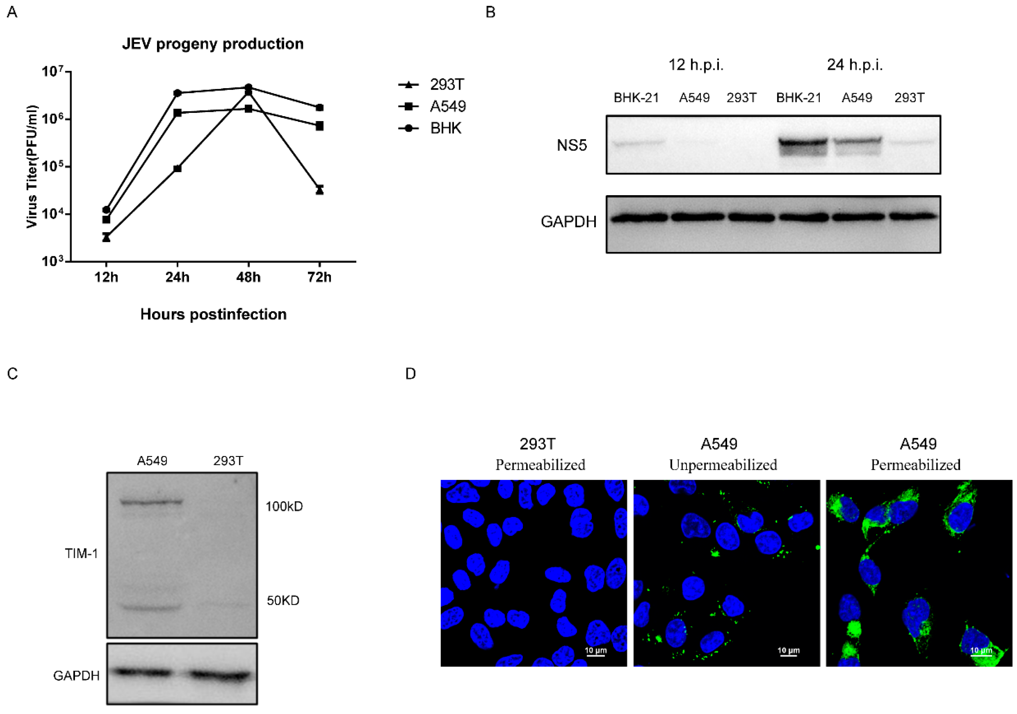 Viruses 10 00630 g001