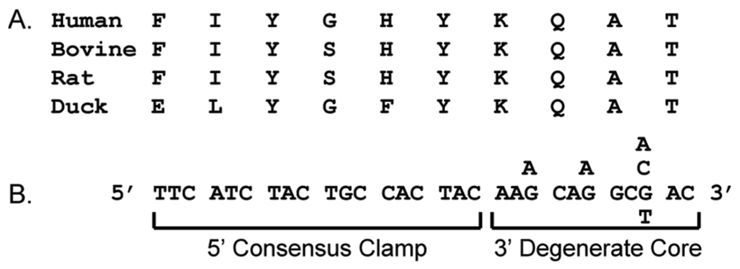 Viruses 10 00637 g001