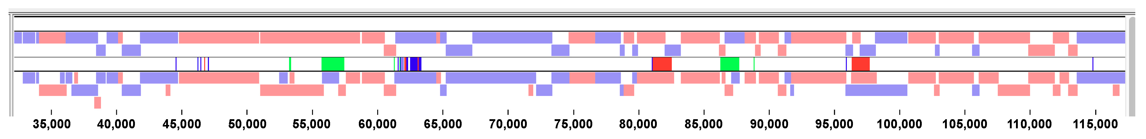 Viruses 10 00637 g003