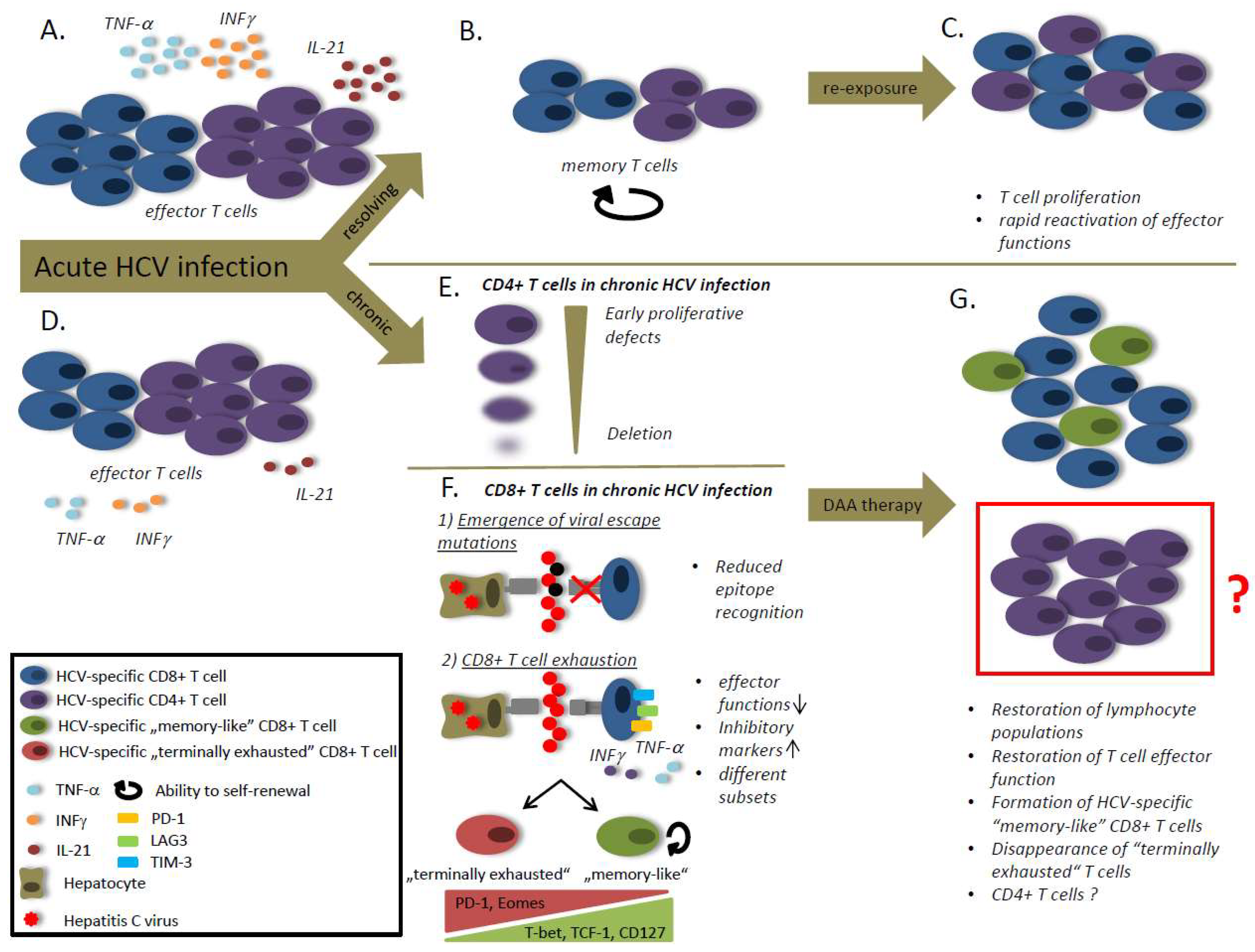 Viruses 10 00645 g001
