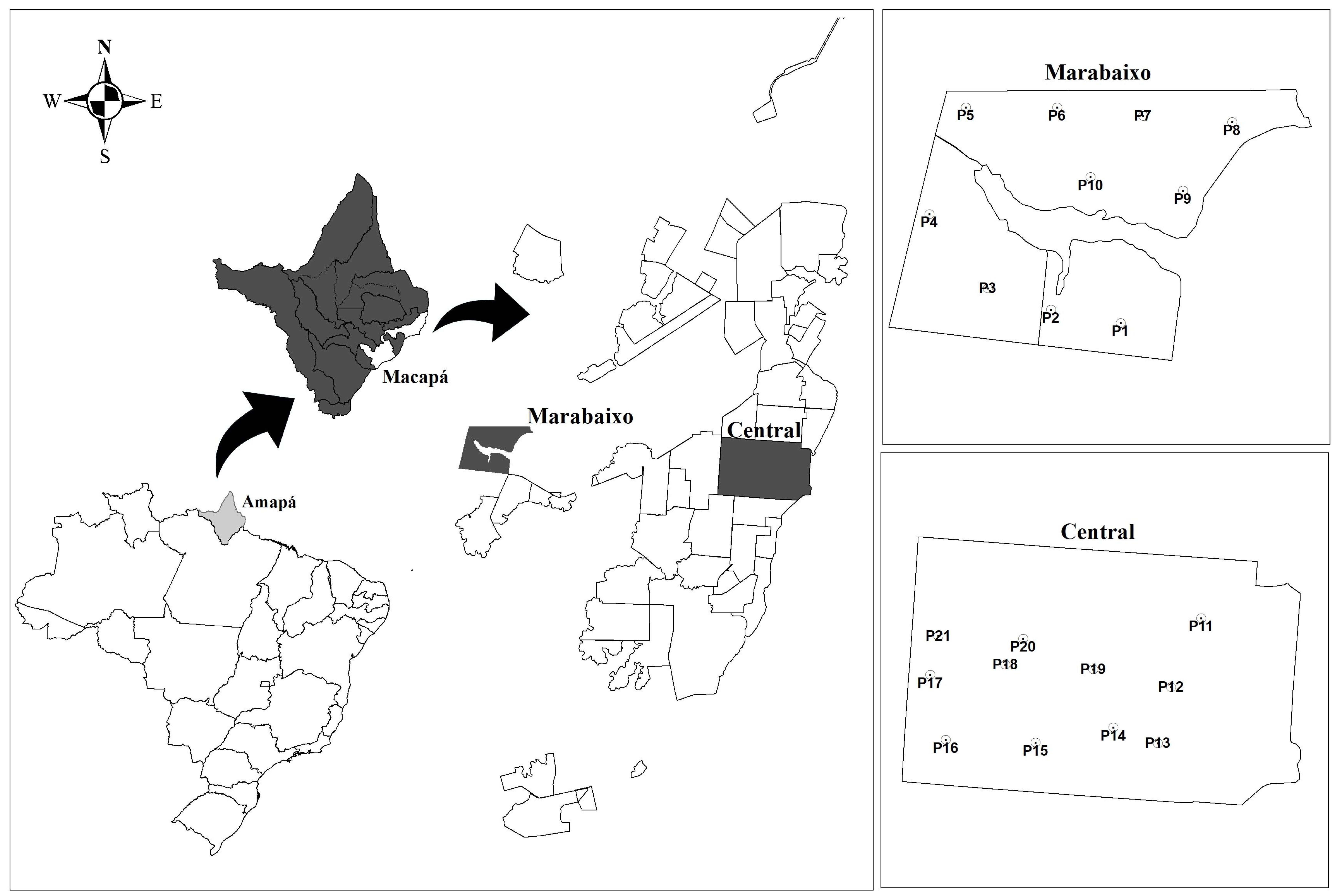 Viruses 10 00666 g001