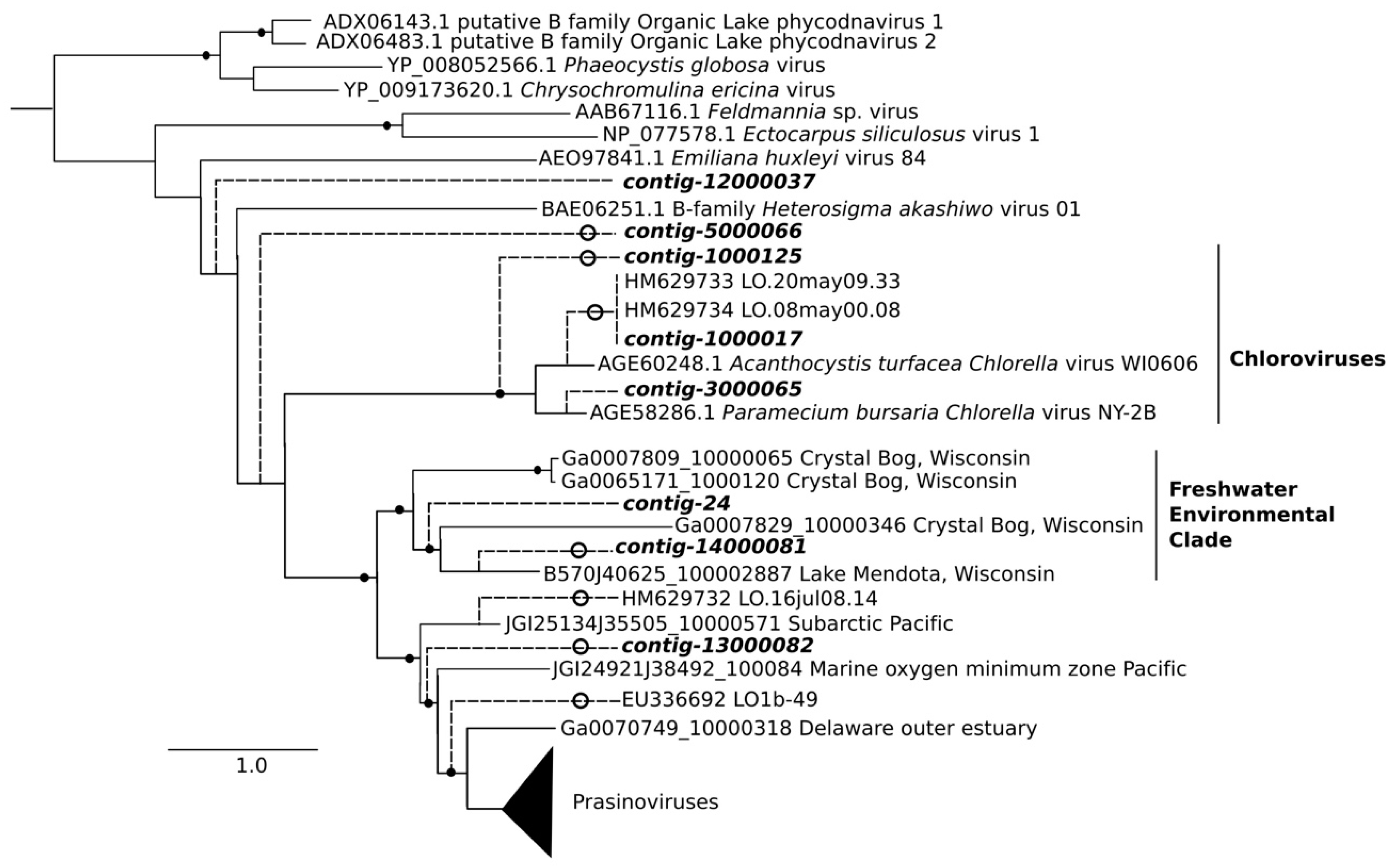 Viruses 10 00672 g005