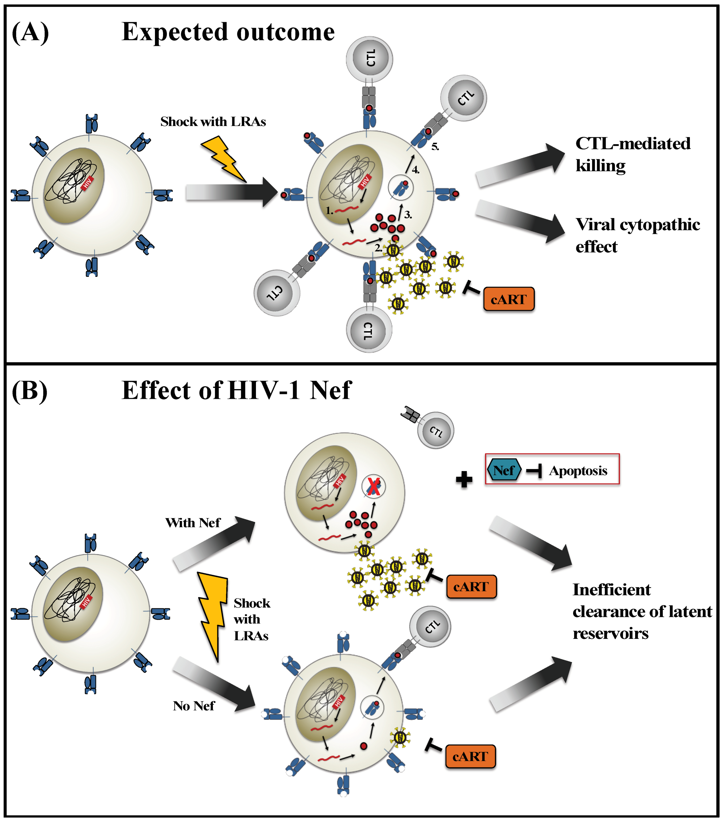 Viruses 10 00677 g001 Viruses 10 00677 g001