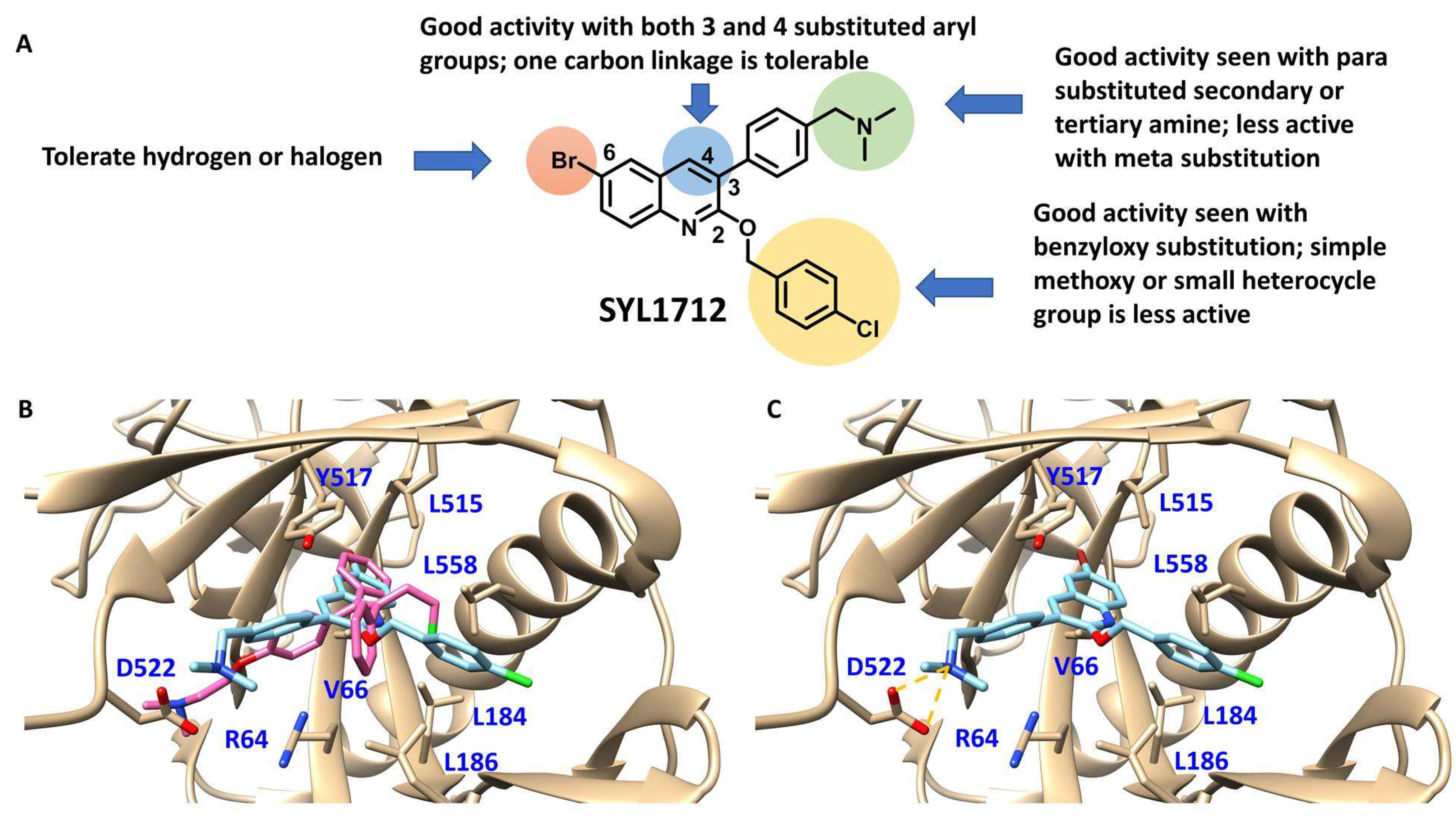 Viruses 10 00678 g004 Viruses 10 00678 g004