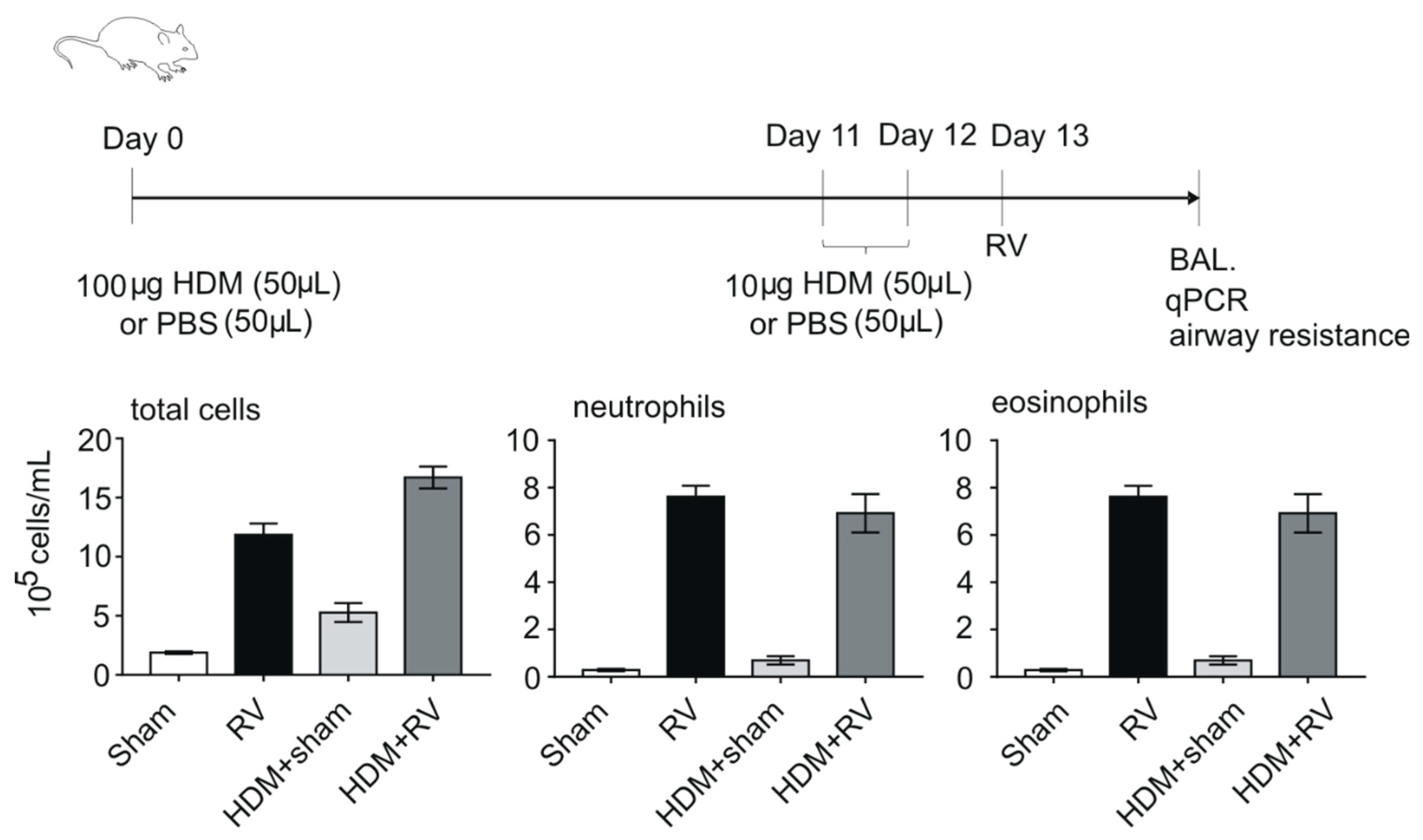 Viruses 10 00682 g001