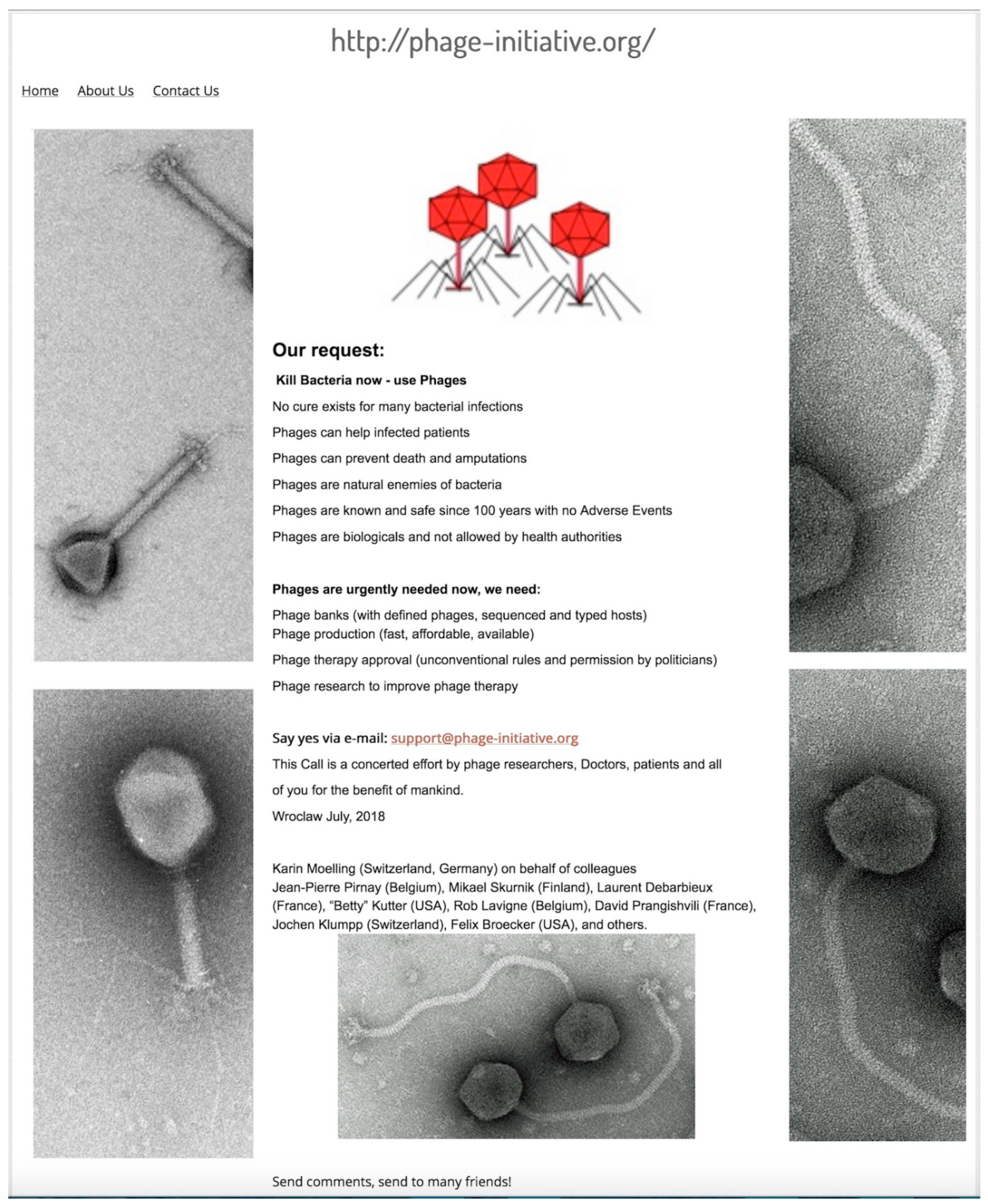Viruses 10 00688 g004 Viruses 10 00688 g004