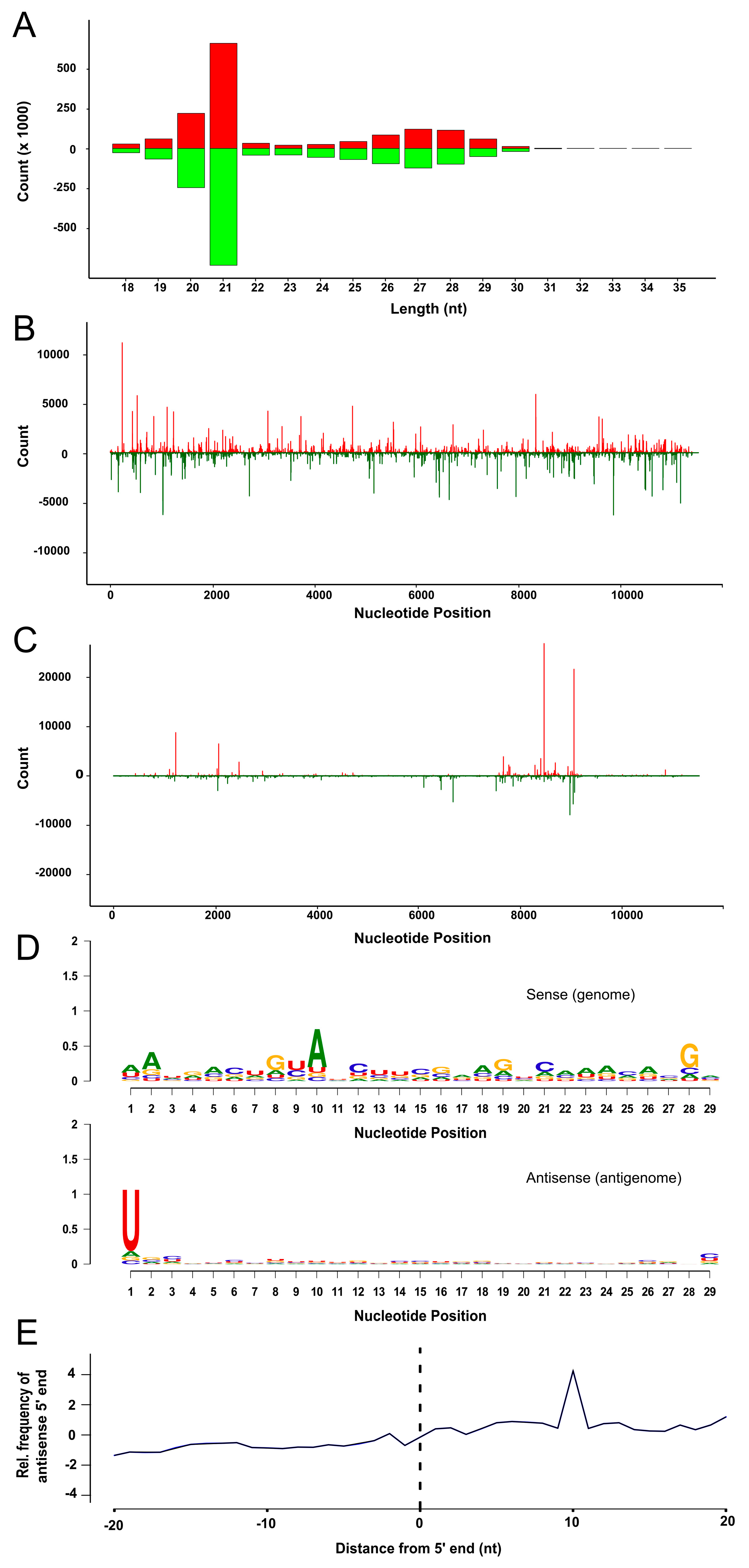 Viruses 10 00694 g005 Viruses 10 00694 g005
