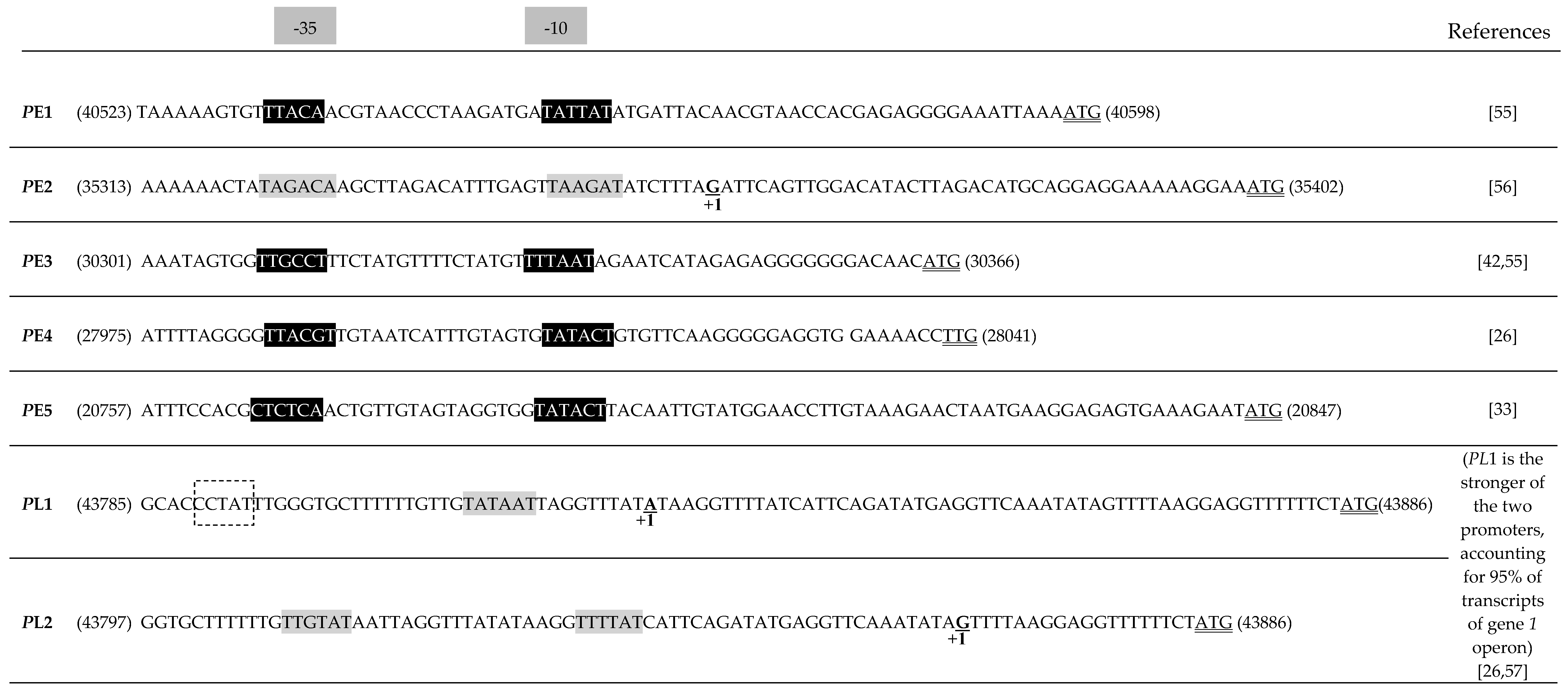 Viruses 10 00705 g002