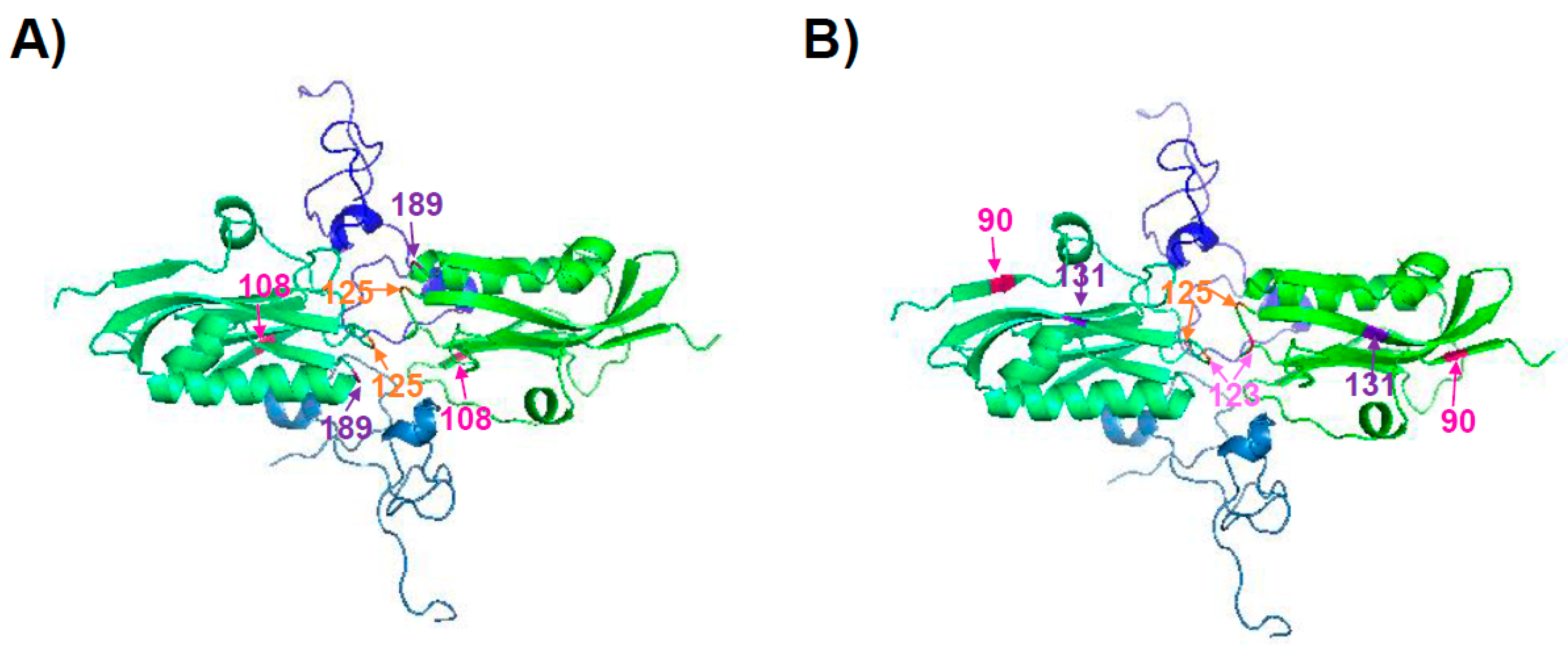 Viruses 10 00708 g003