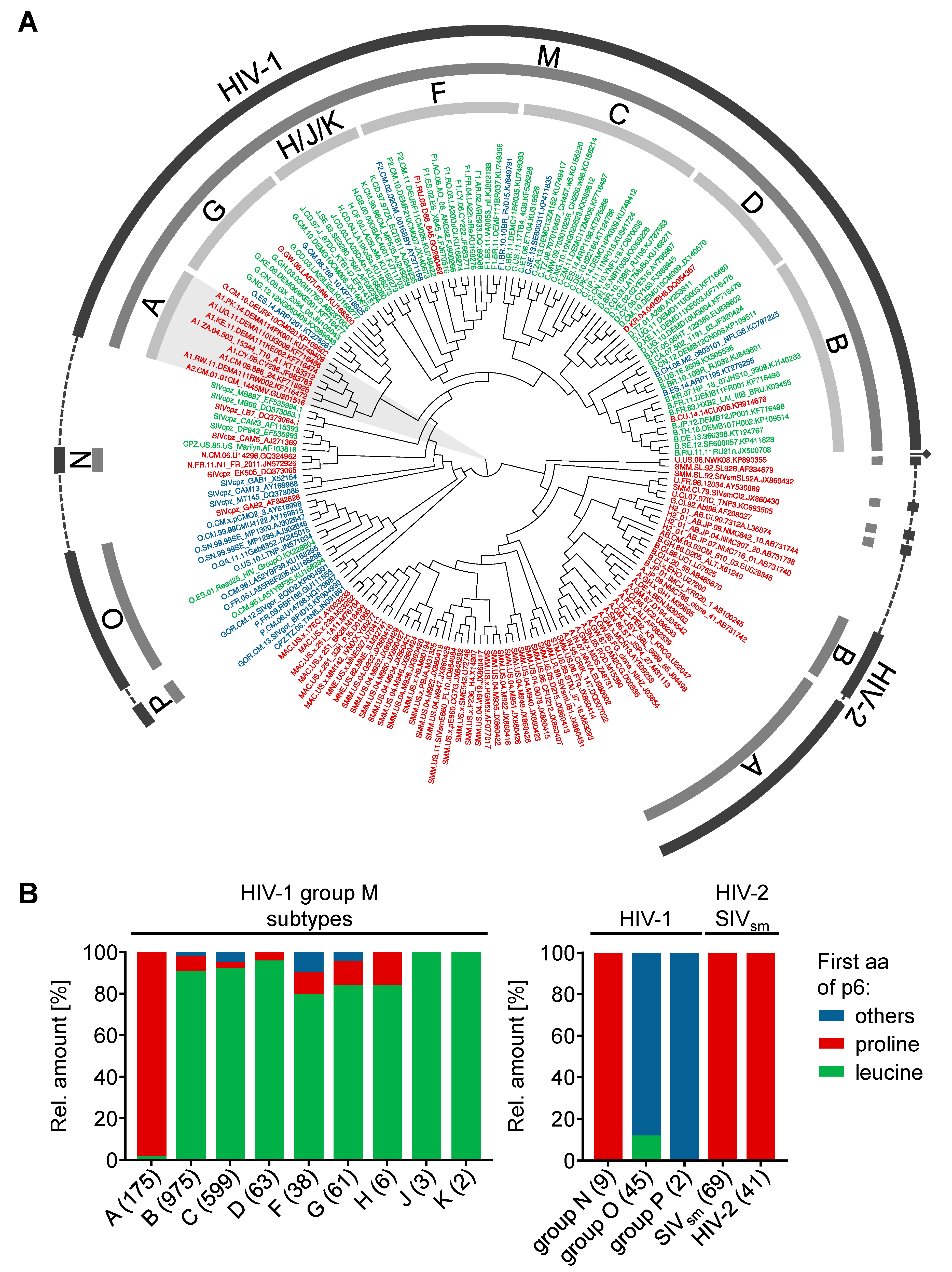 Viruses 10 00710 g006