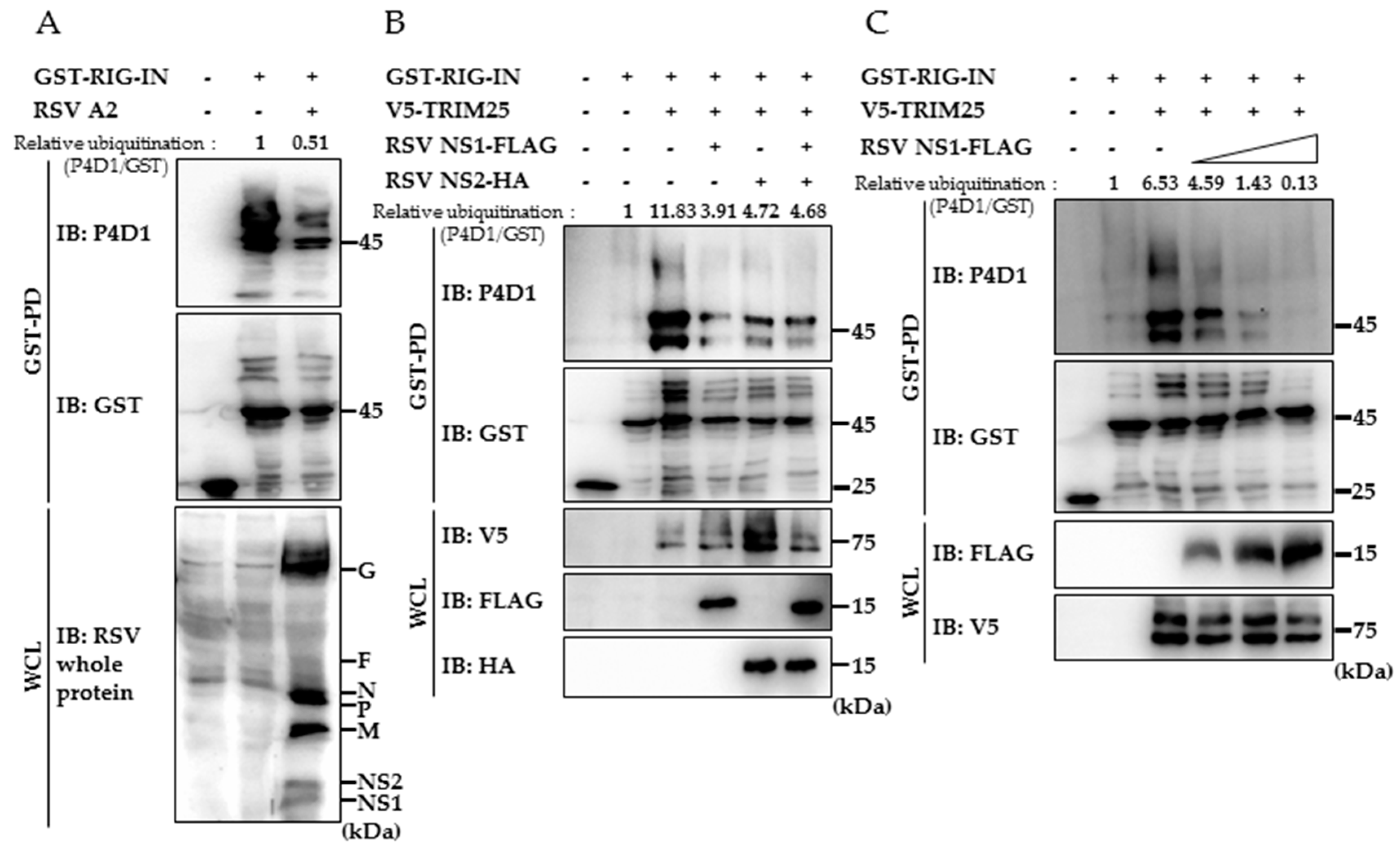 Viruses 10 00716 g002