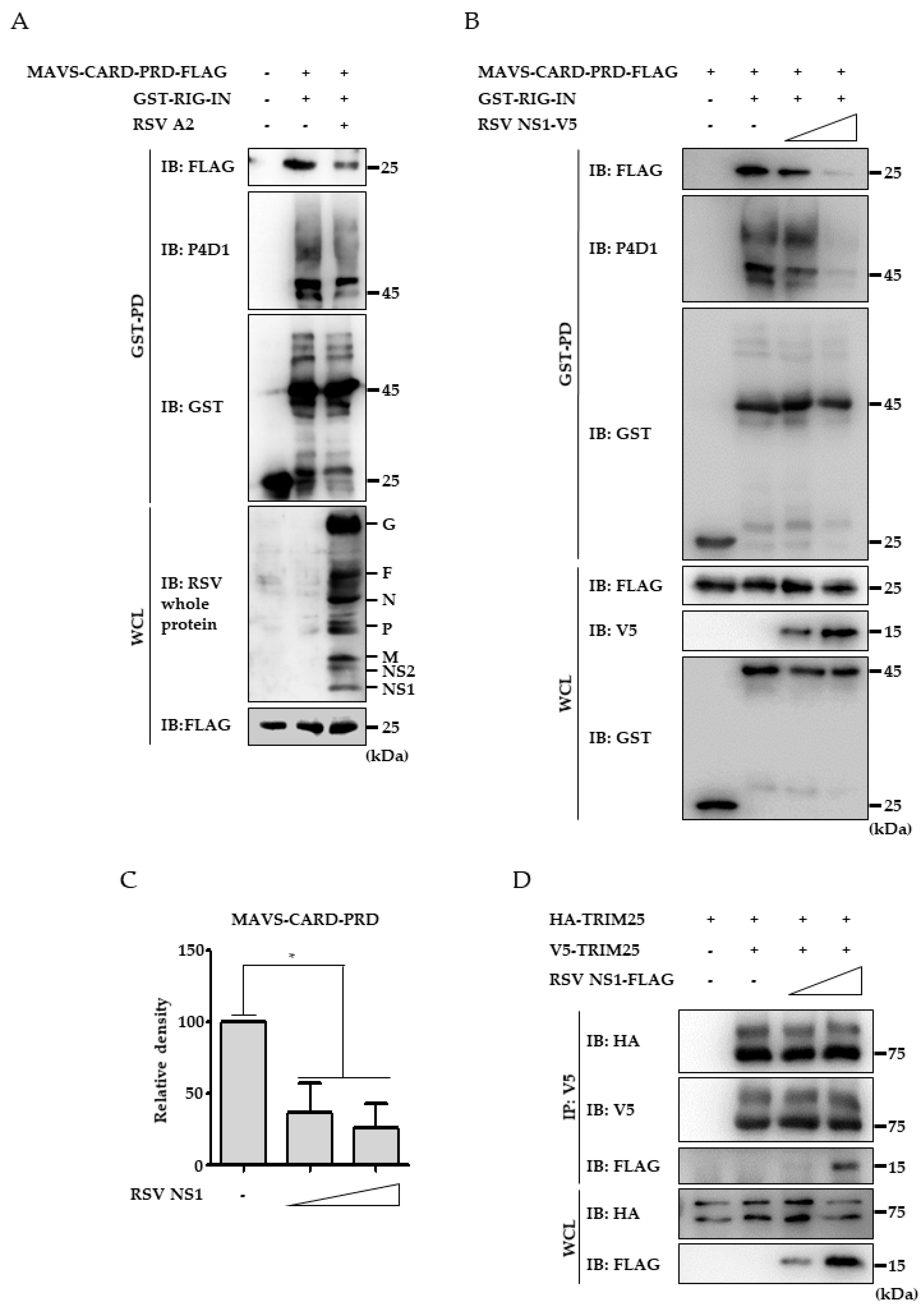 Viruses 10 00716 g004
