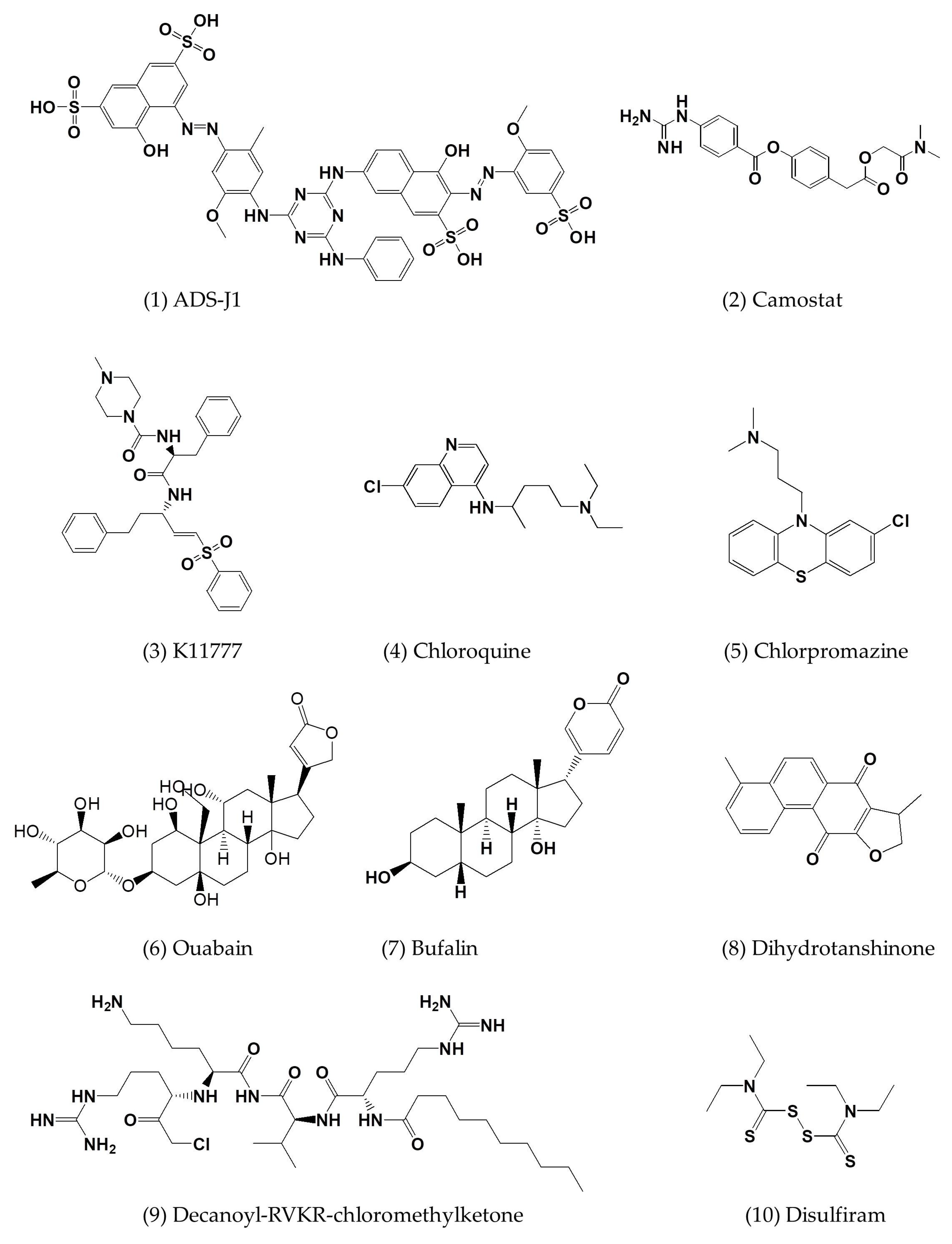 Viruses 10 00721 g005a