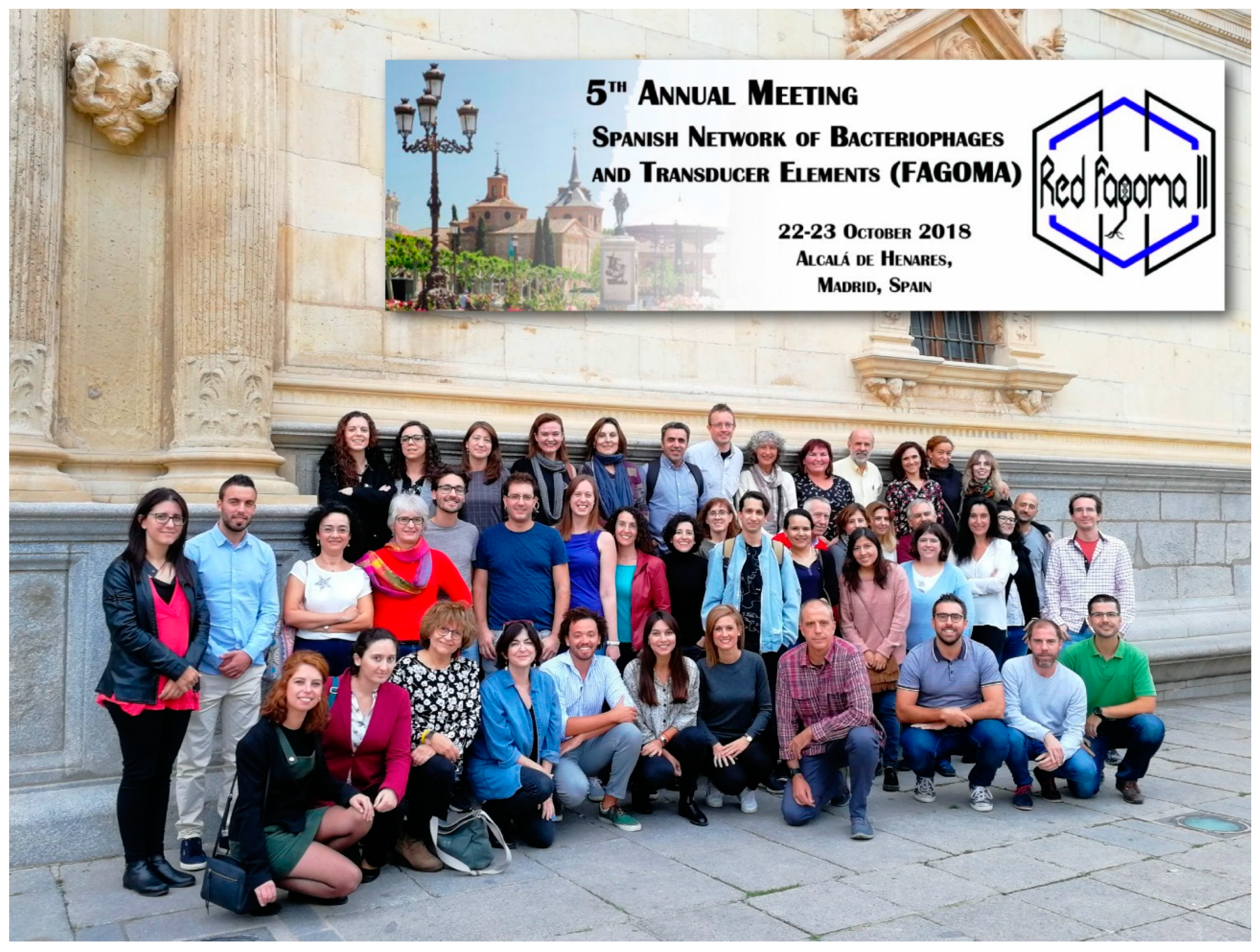 Viruses 10 00722 g002 Viruses 10 00722 g002