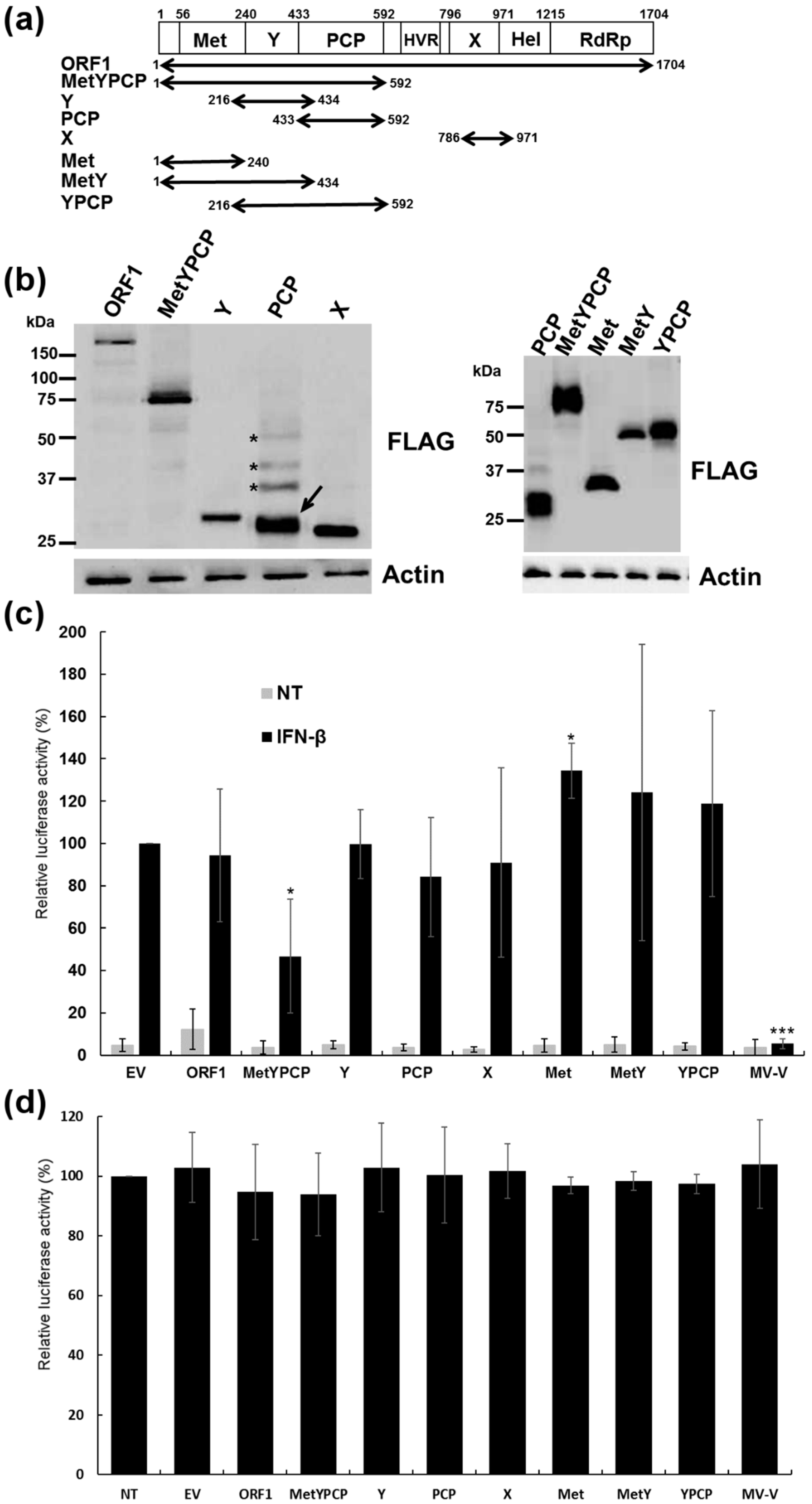 Viruses 10 00726 g001 Viruses 10 00726 g001
