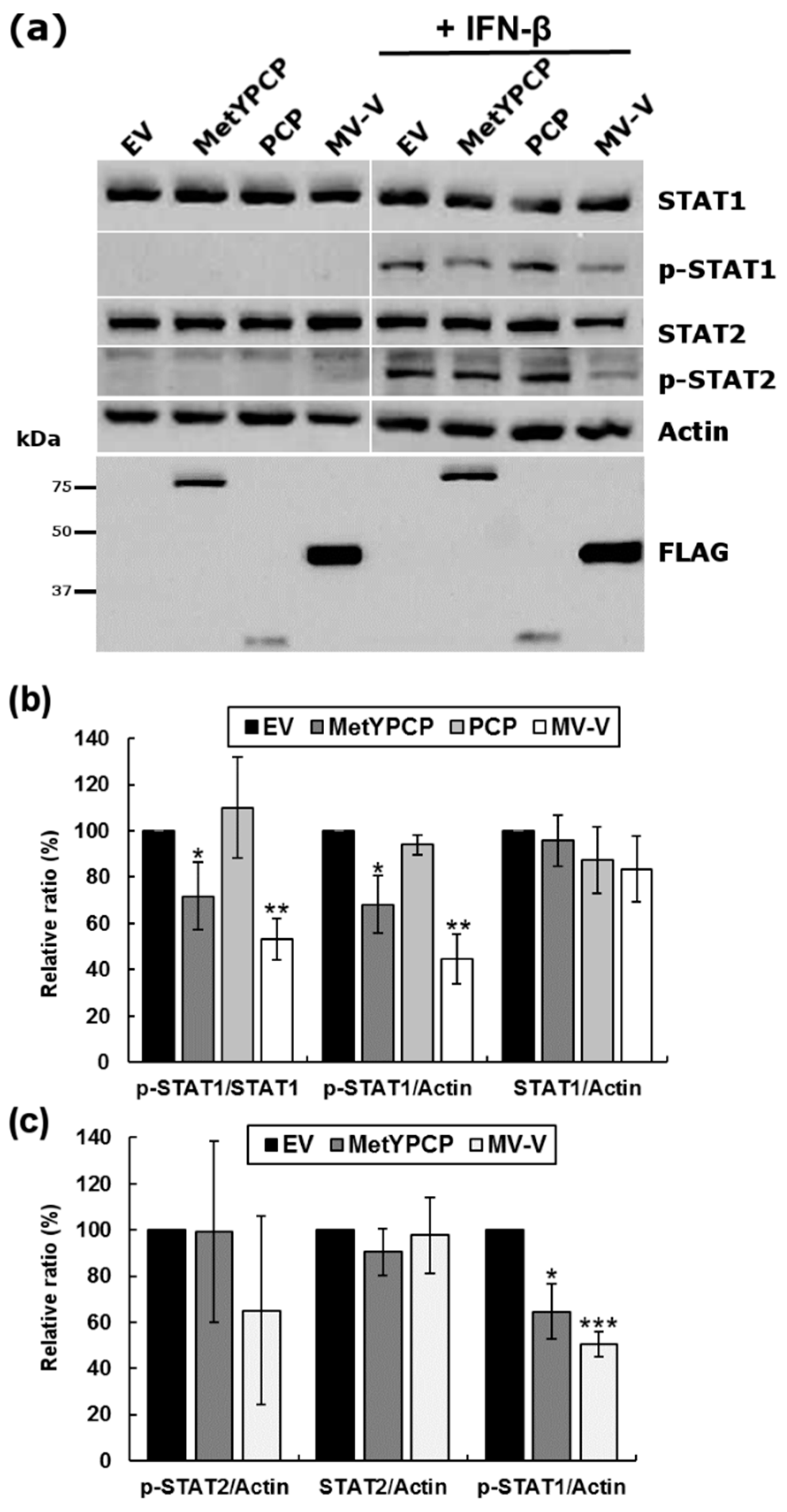 Viruses 10 00726 g004 Viruses 10 00726 g004