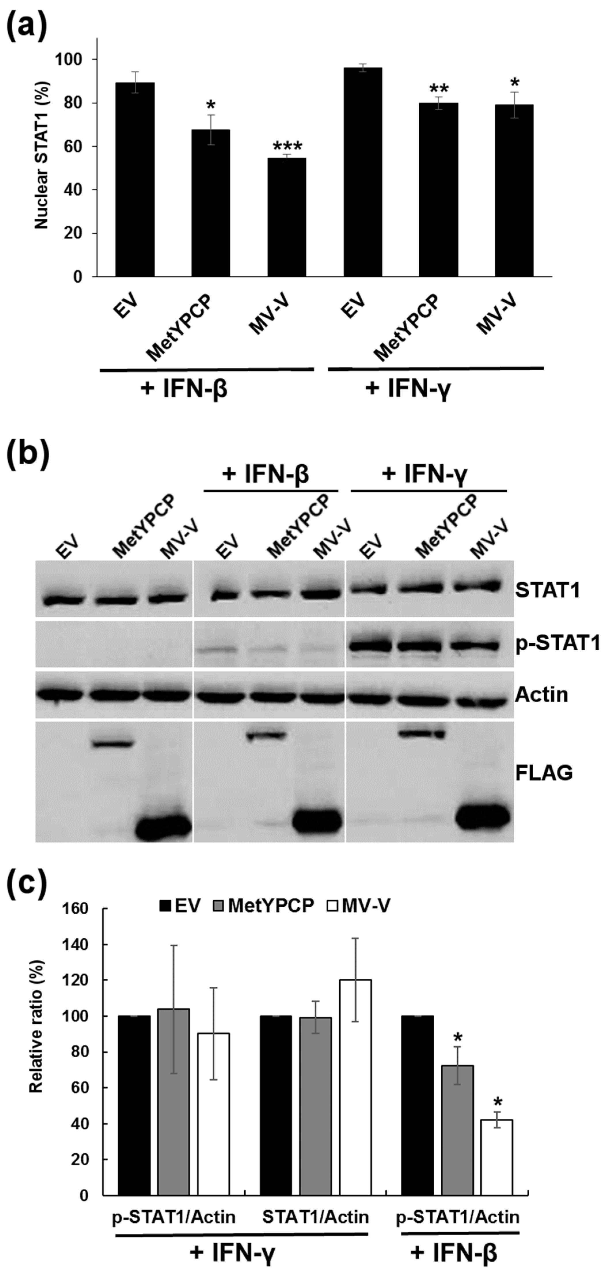 Viruses 10 00726 g005 Viruses 10 00726 g005