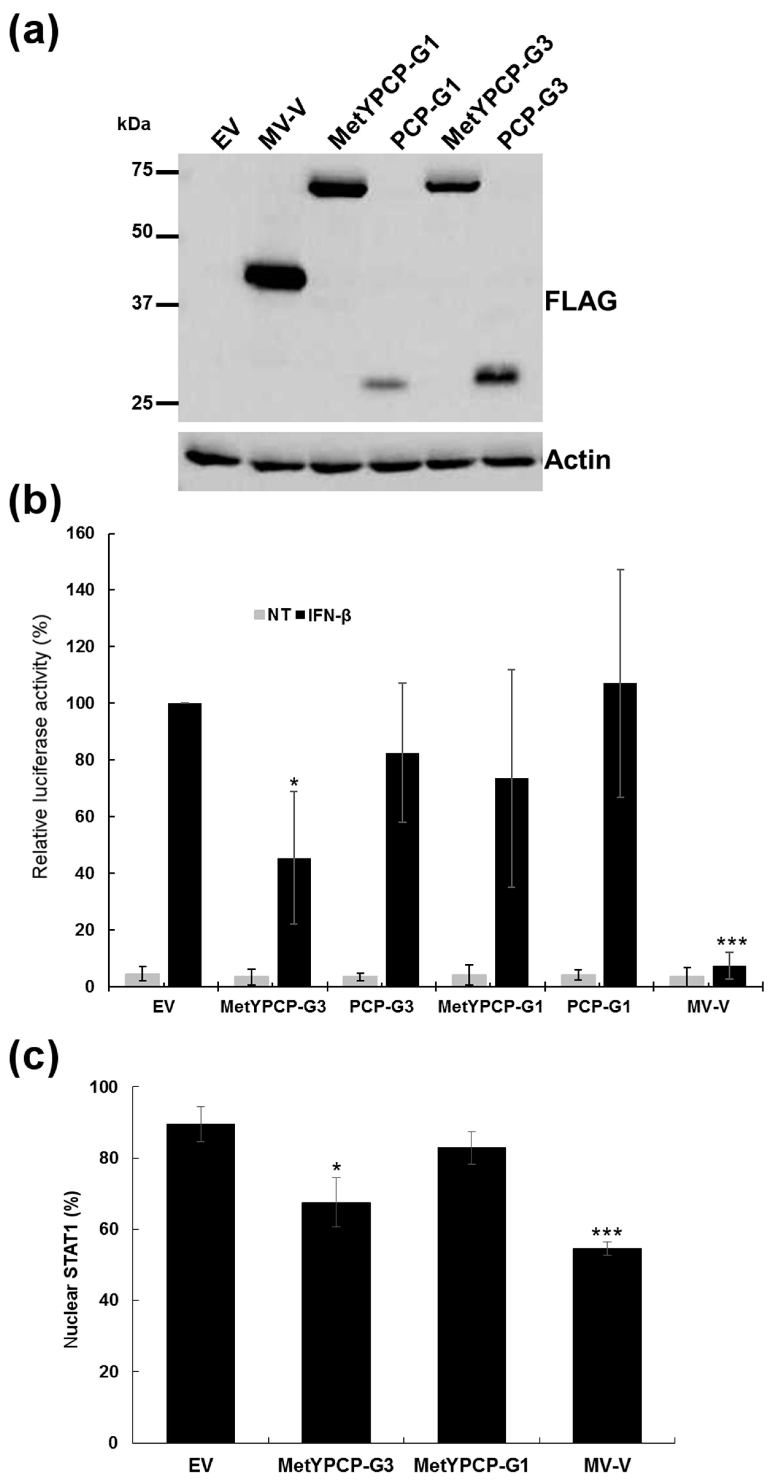 Viruses 10 00726 g006 Viruses 10 00726 g006