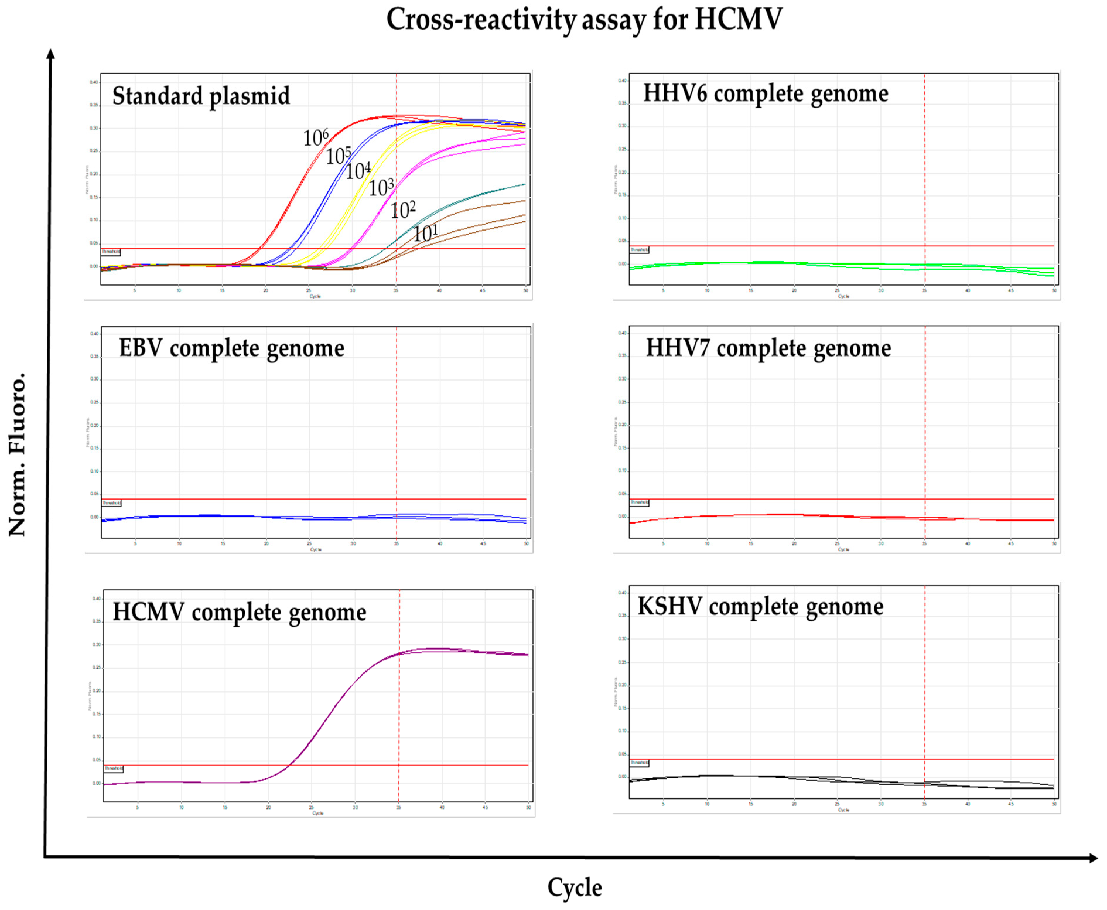 Viruses 10 00730 g003