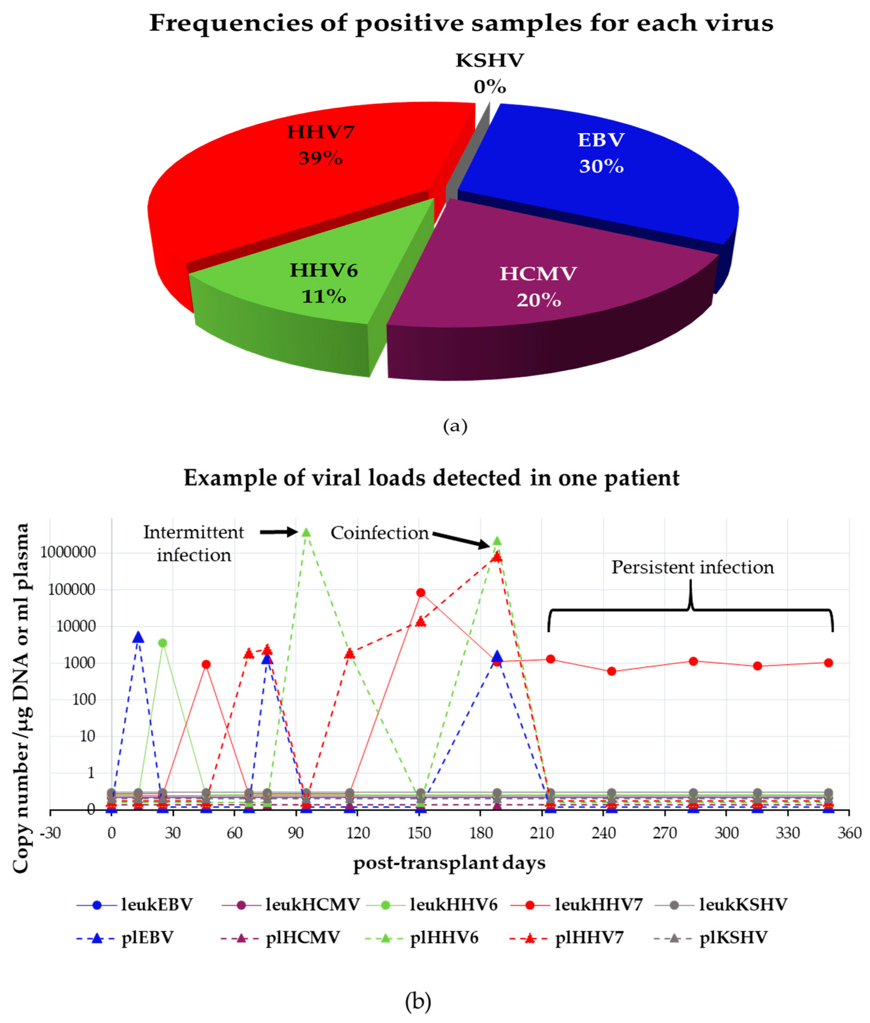 Viruses 10 00730 g004