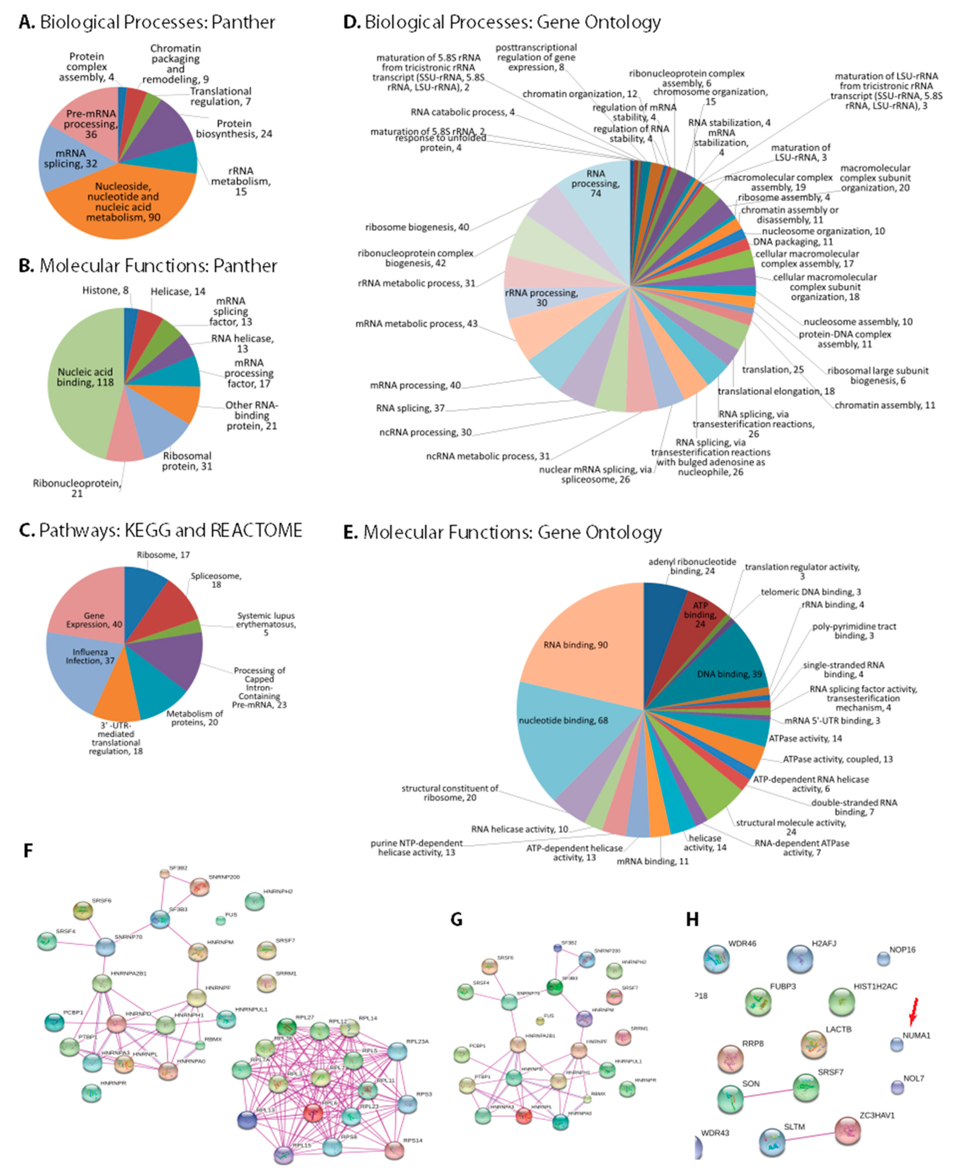 Viruses 10 00731 g002