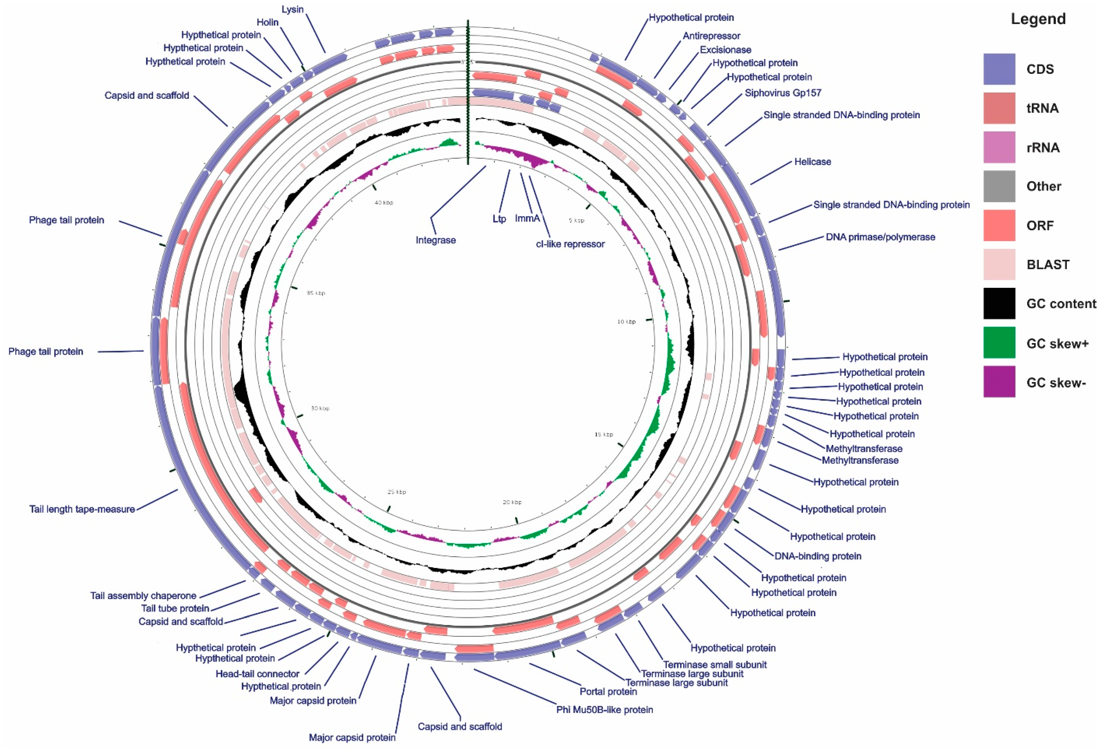 Viruses 11 00007 g001 Viruses 11 00007 g001