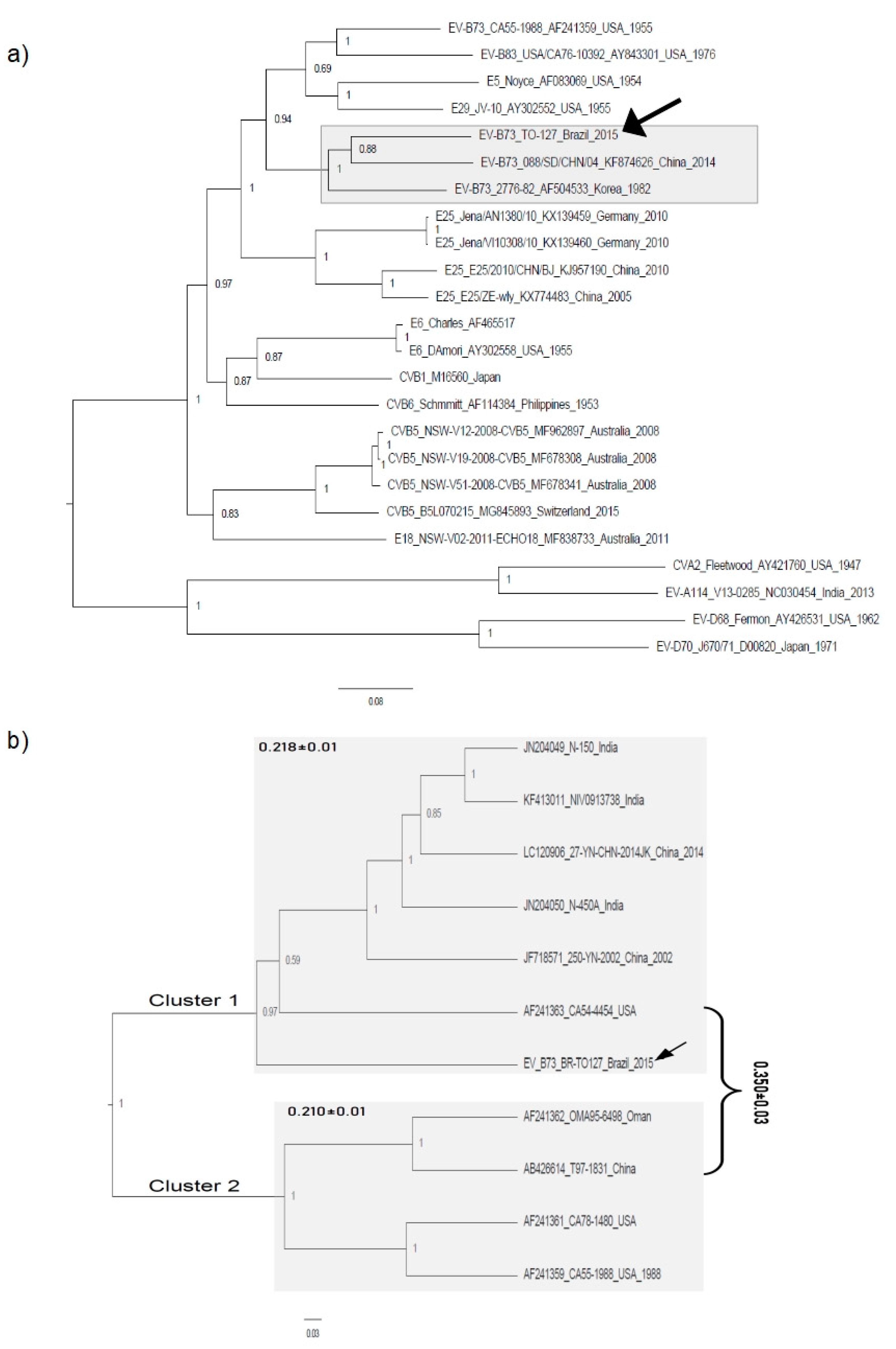 Viruses 11 00016 g001