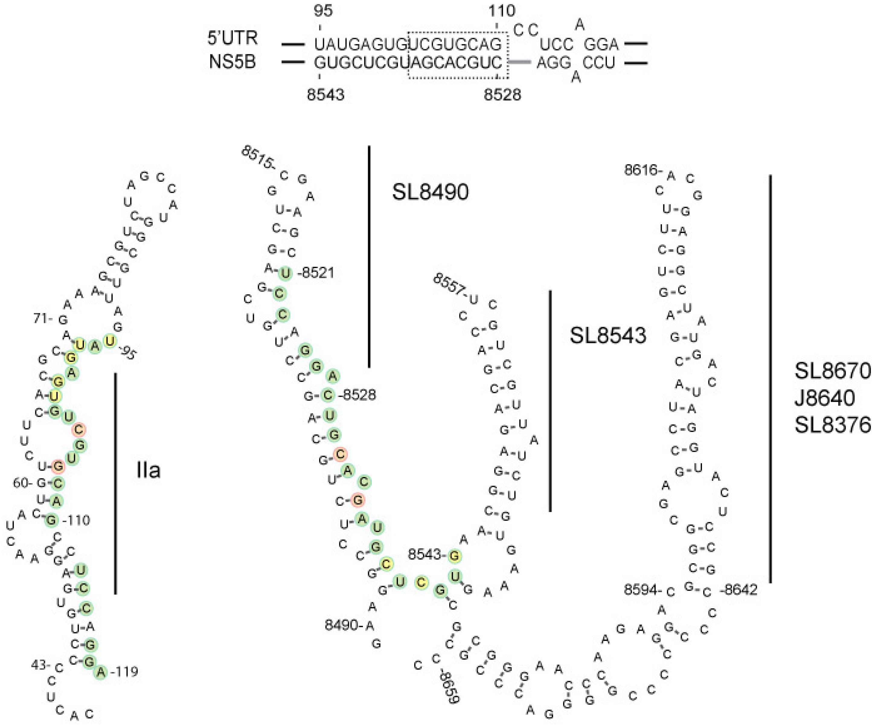 Viruses 11 00017 g001