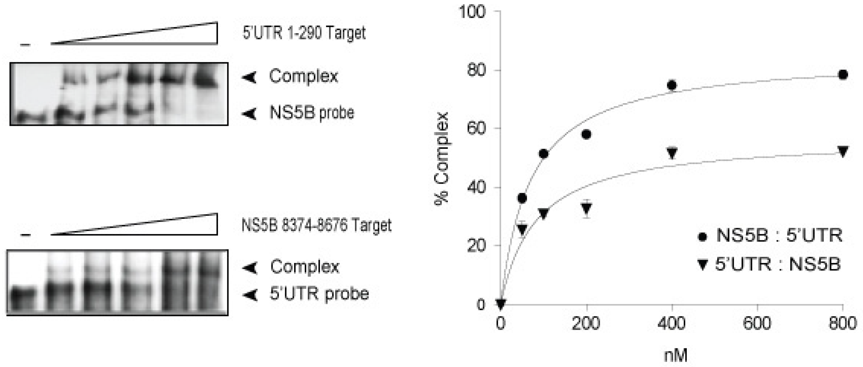 Viruses 11 00017 g002