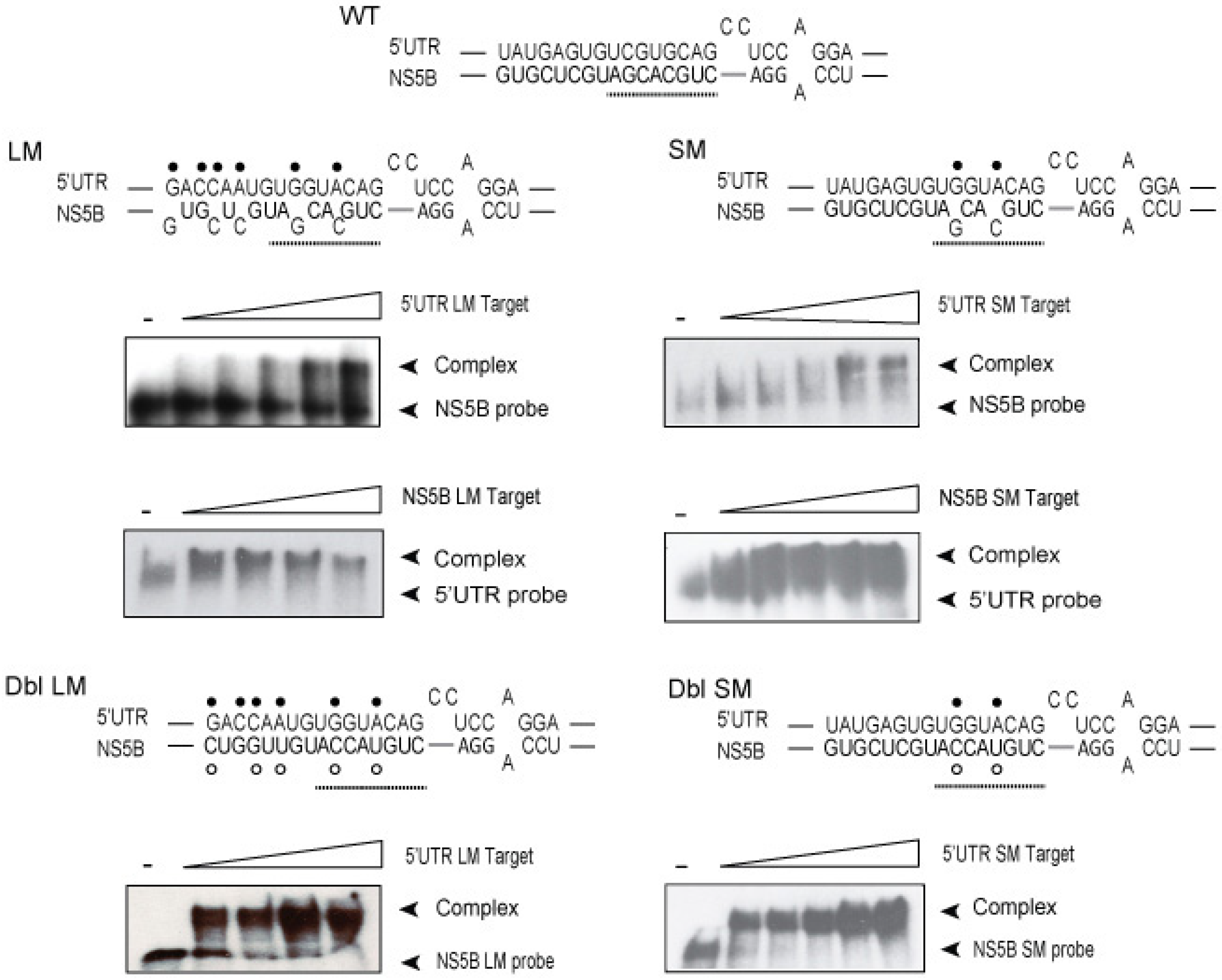 Viruses 11 00017 g003