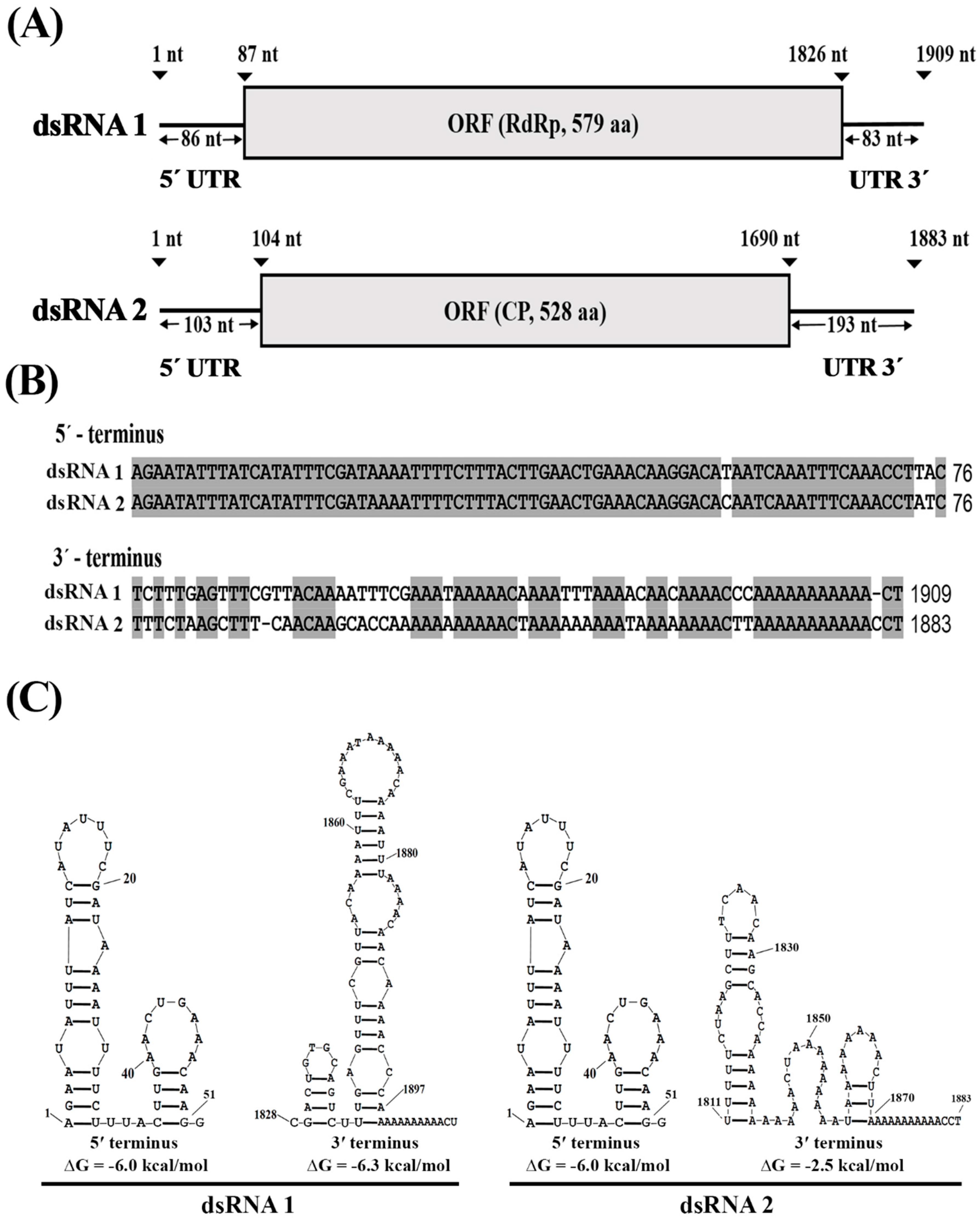 Viruses 11 00024 g005