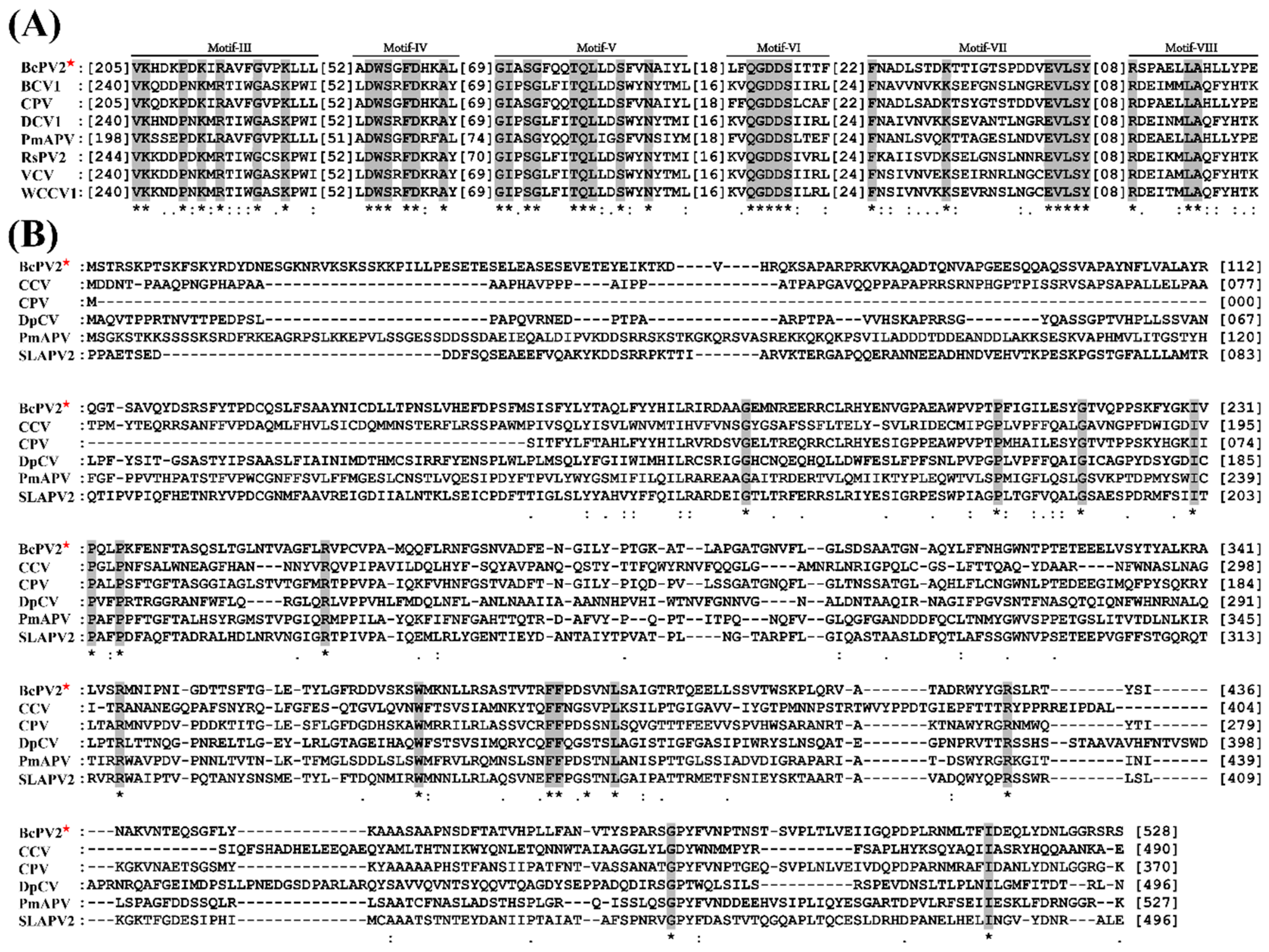 Viruses 11 00024 g006